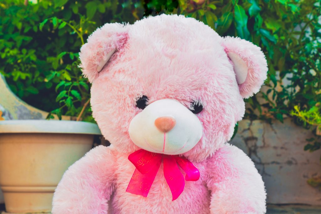 Pink teddy bear - PixaHive