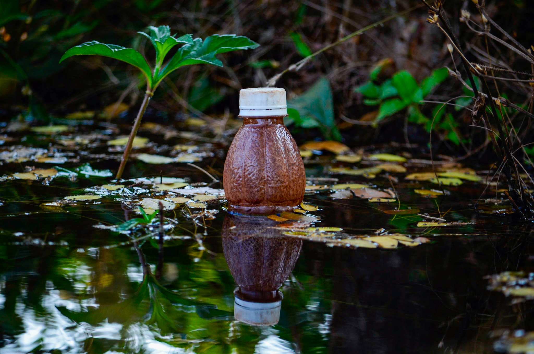 Plastic Bottle on River