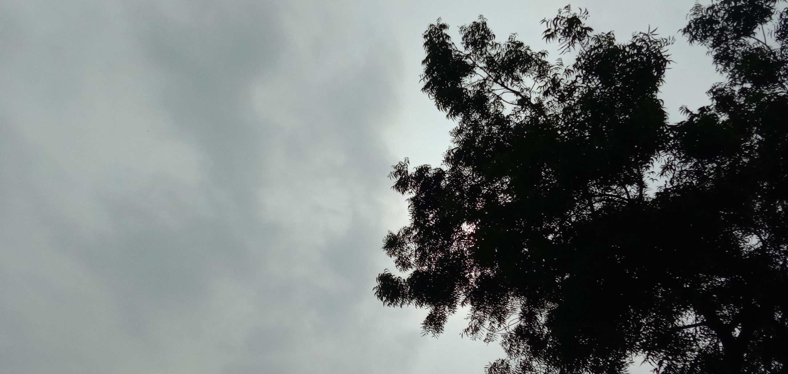 Rainy Clouds over the tree