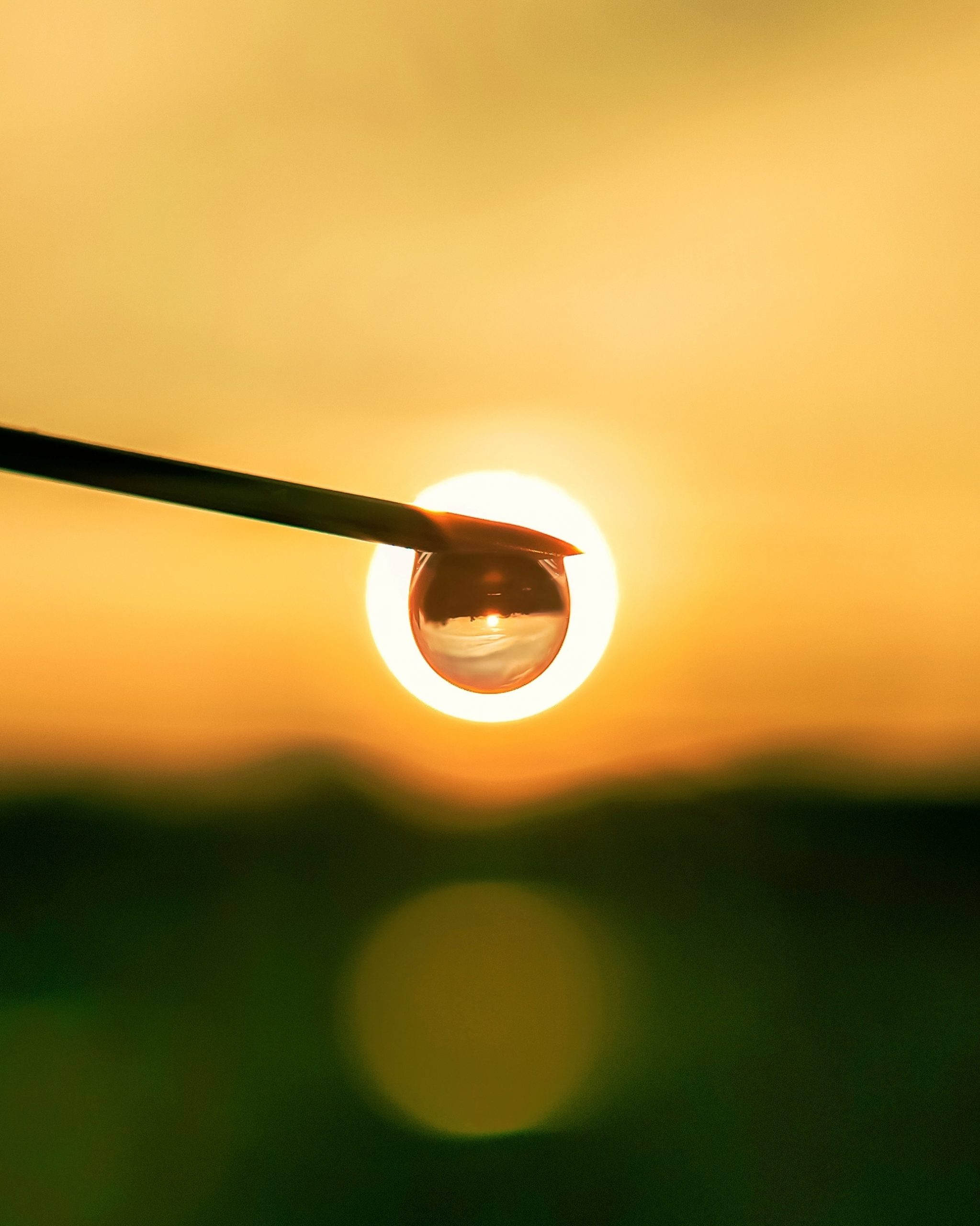 Reflection of sun in a drop