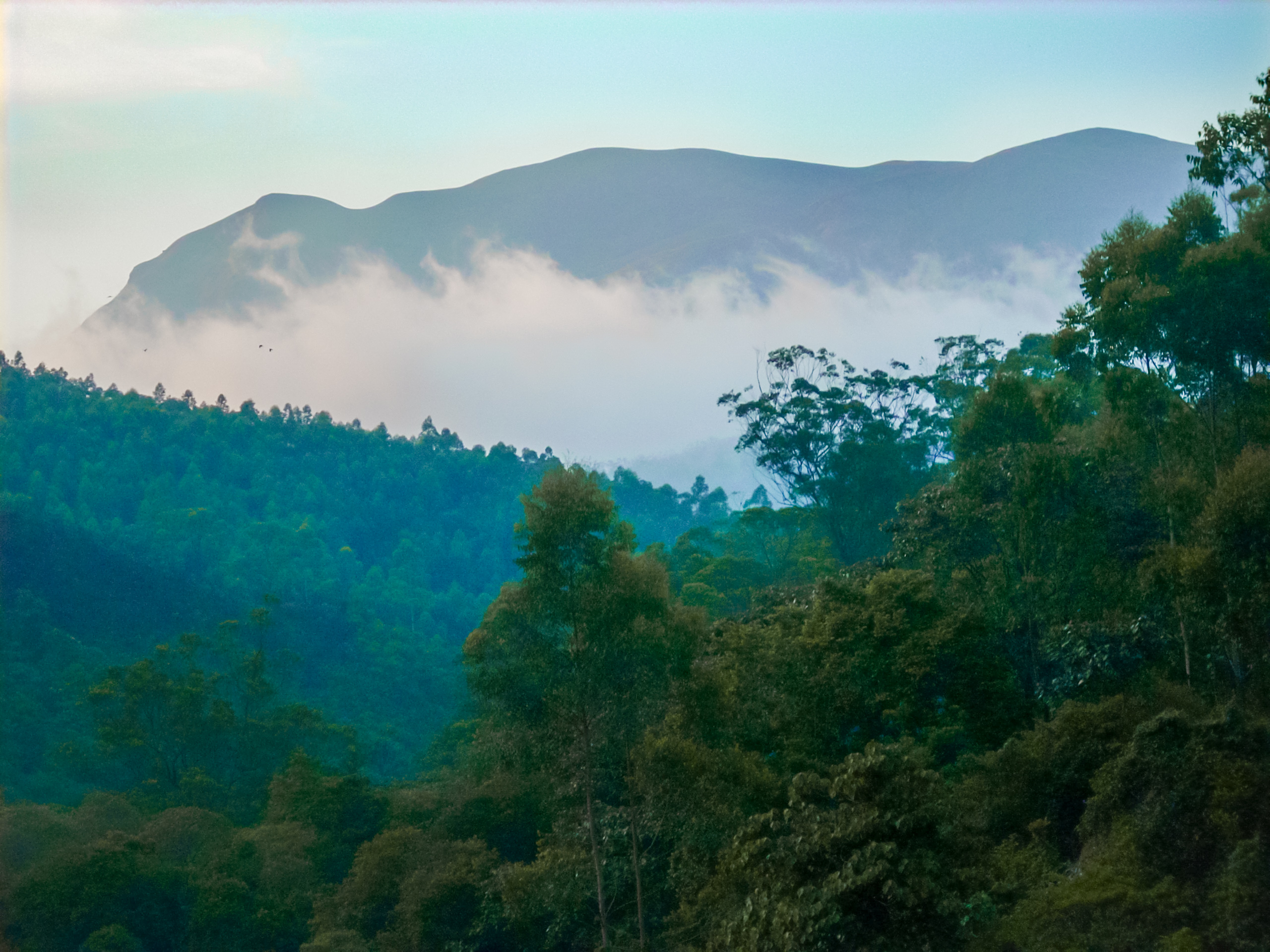 Rising Fog Landscape