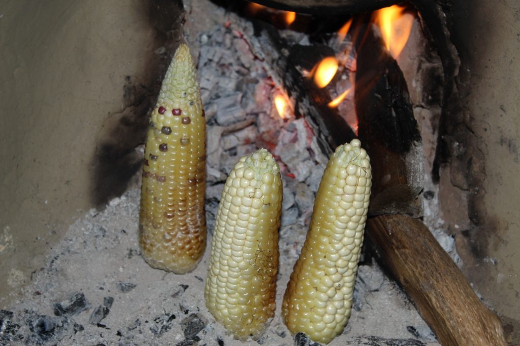 Roasted Corns PixaHive