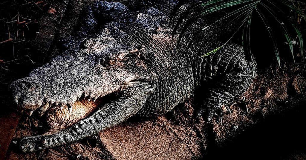 SILENT PREDATOR PixaHive