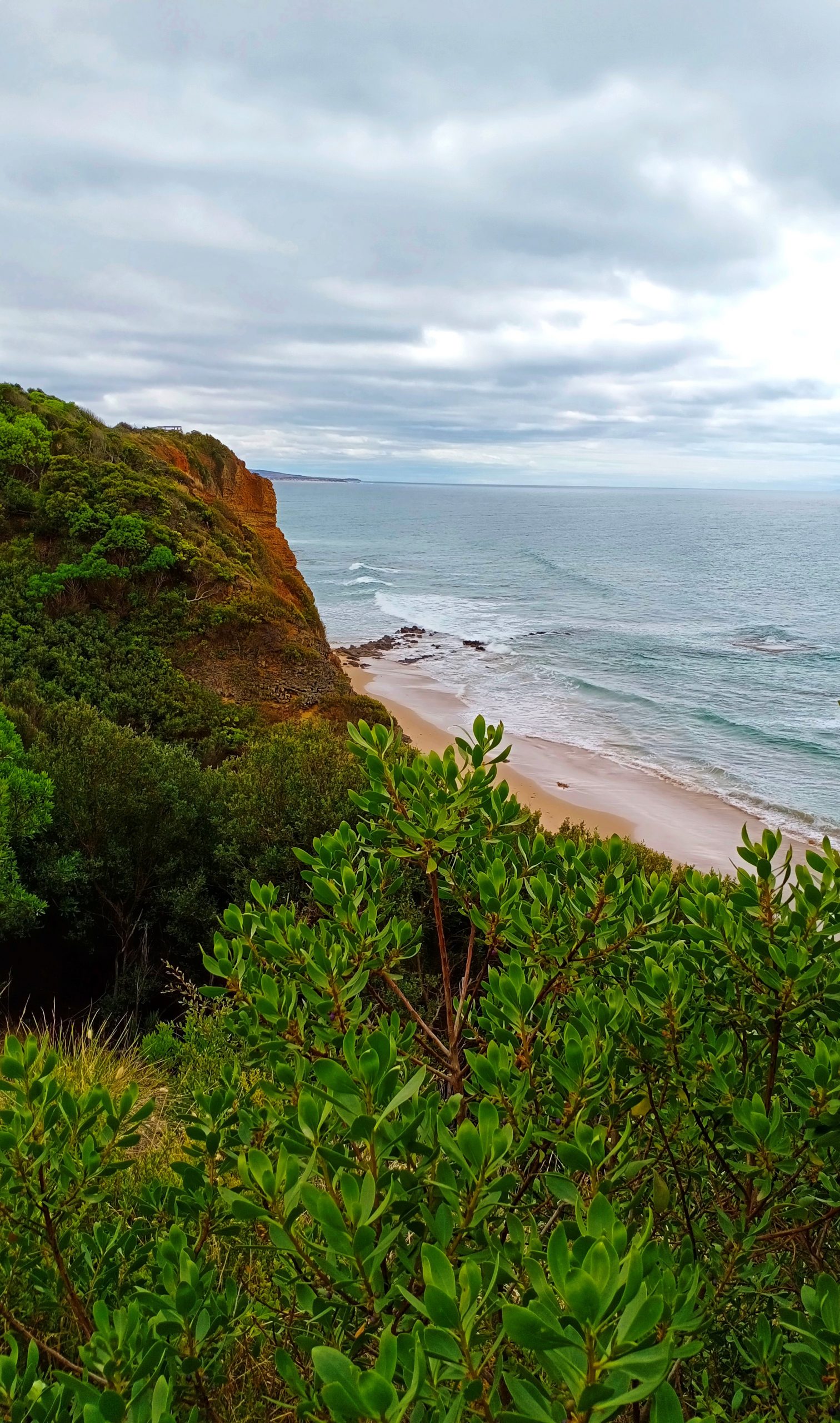 Sea Cliff Scenery