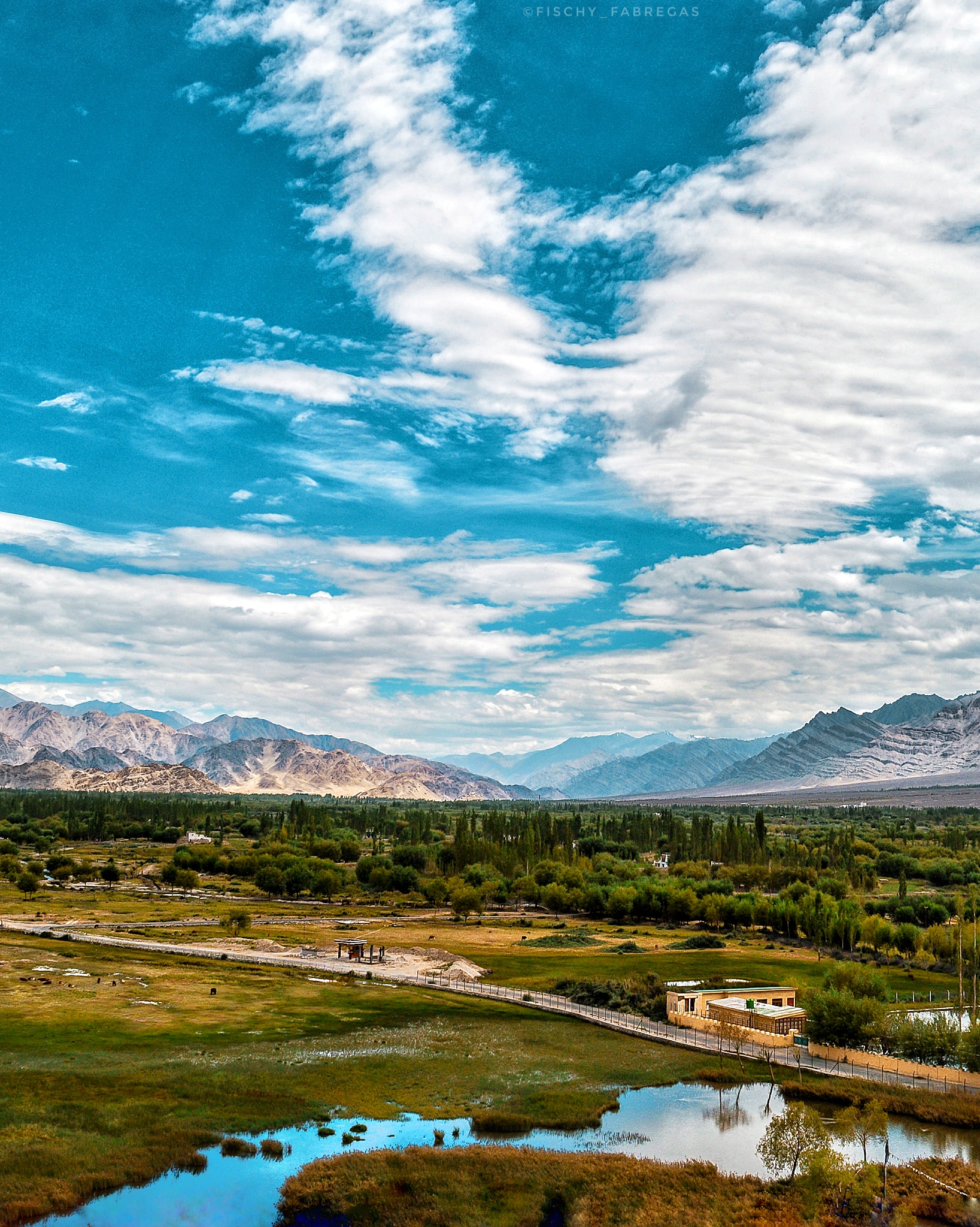 Shey Palace, Ladakh