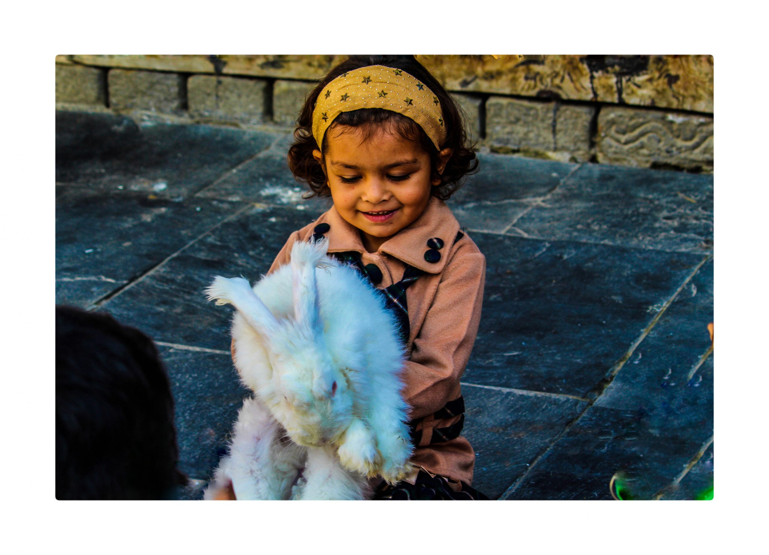 Shimla- Rabbit on a kid's lap