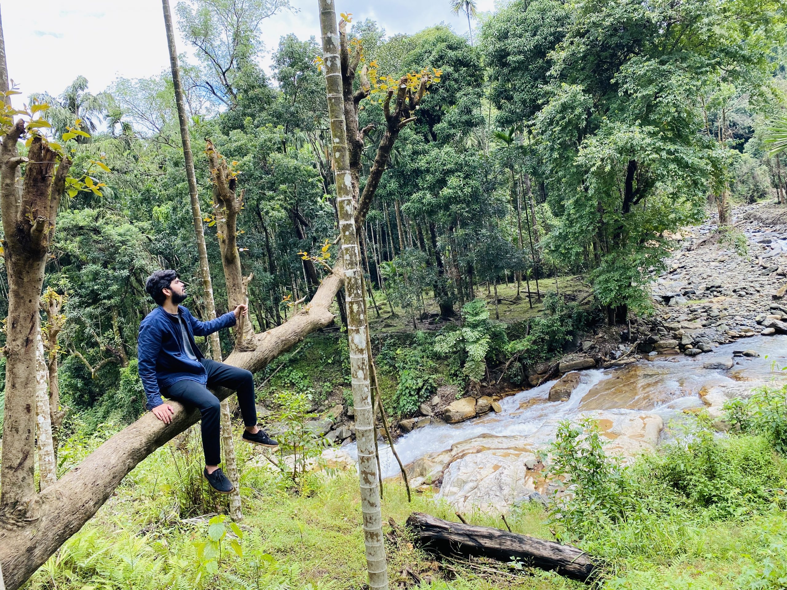 Sitting on Branch