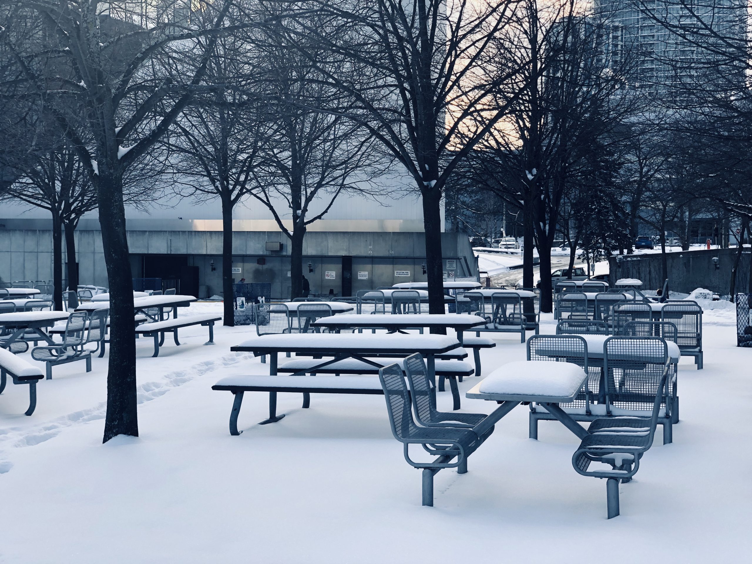 Snowy area in Toronto