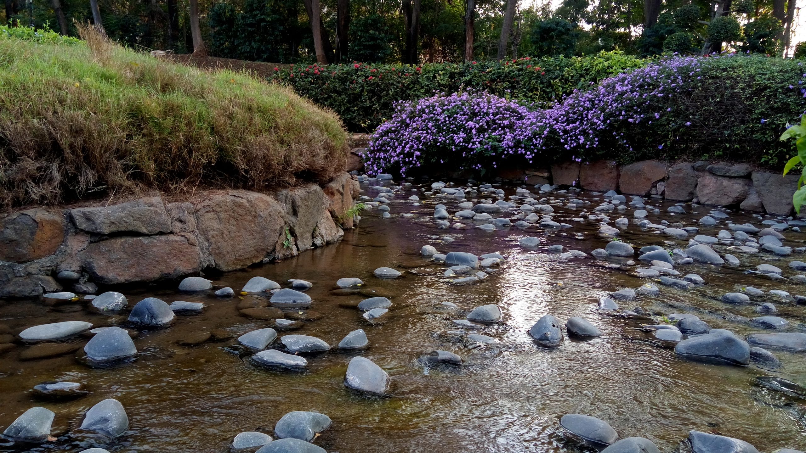 Stones in flowing water