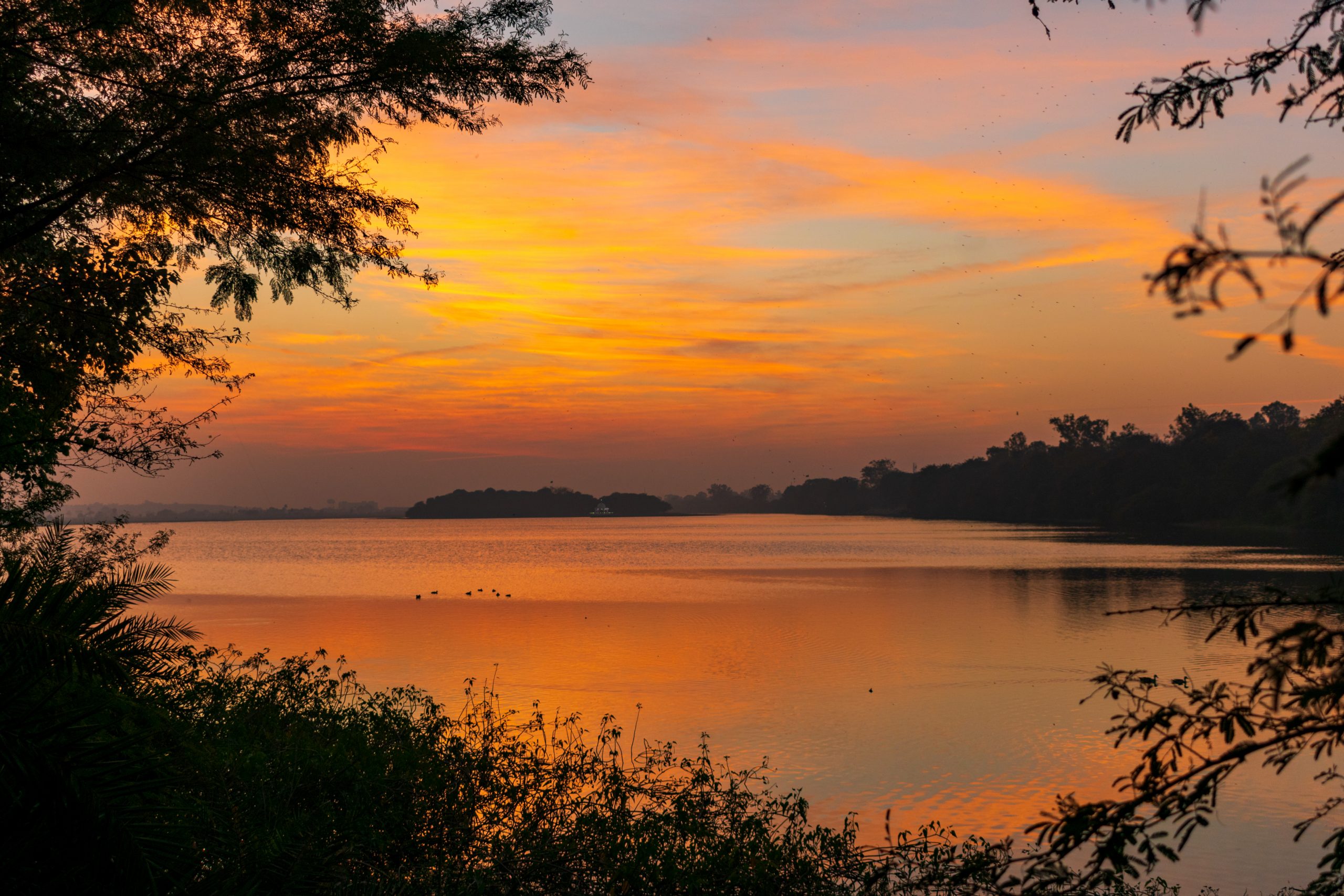 Peaceful sunset at Sirpur lake, Indore.