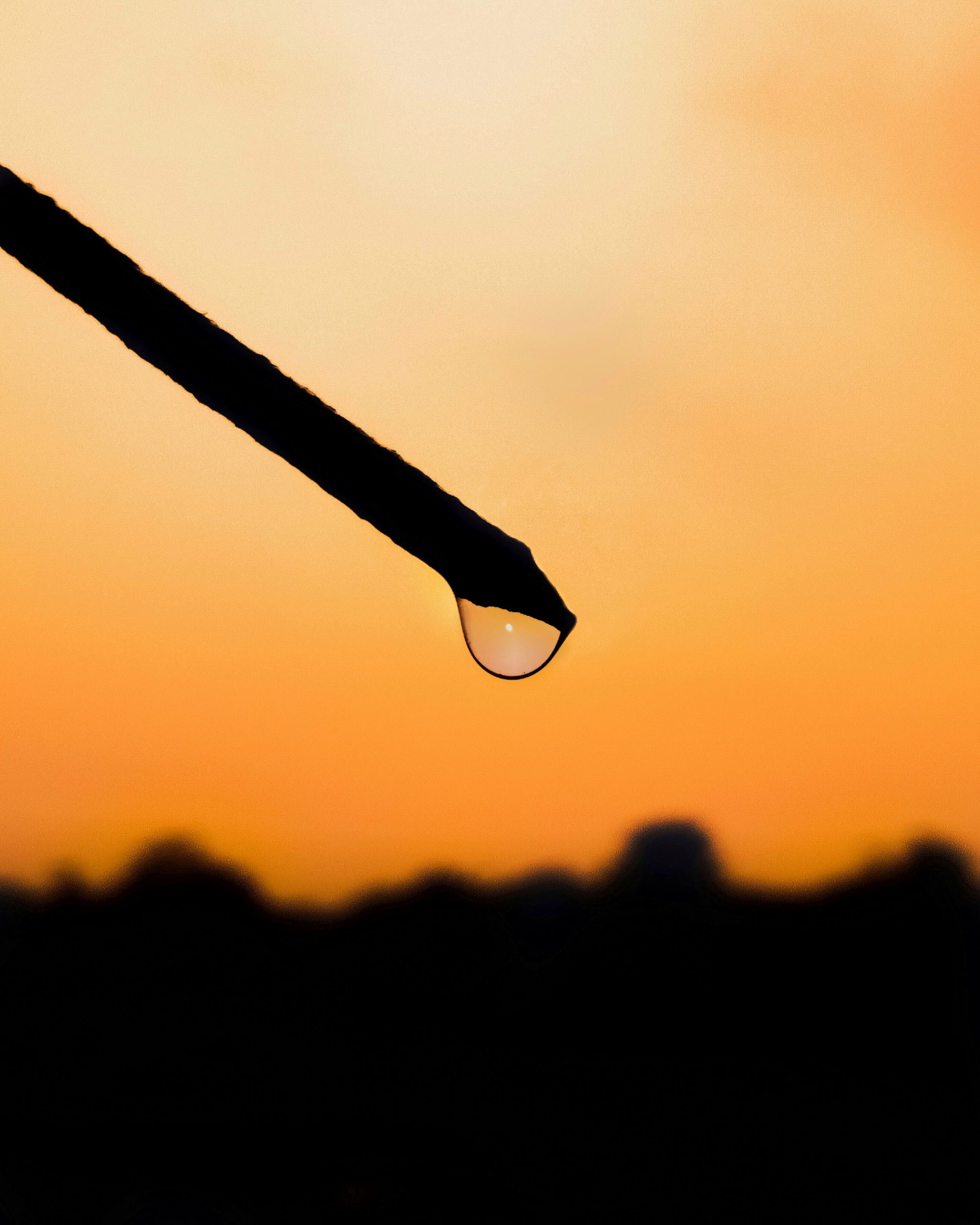 Sunset through Droplet