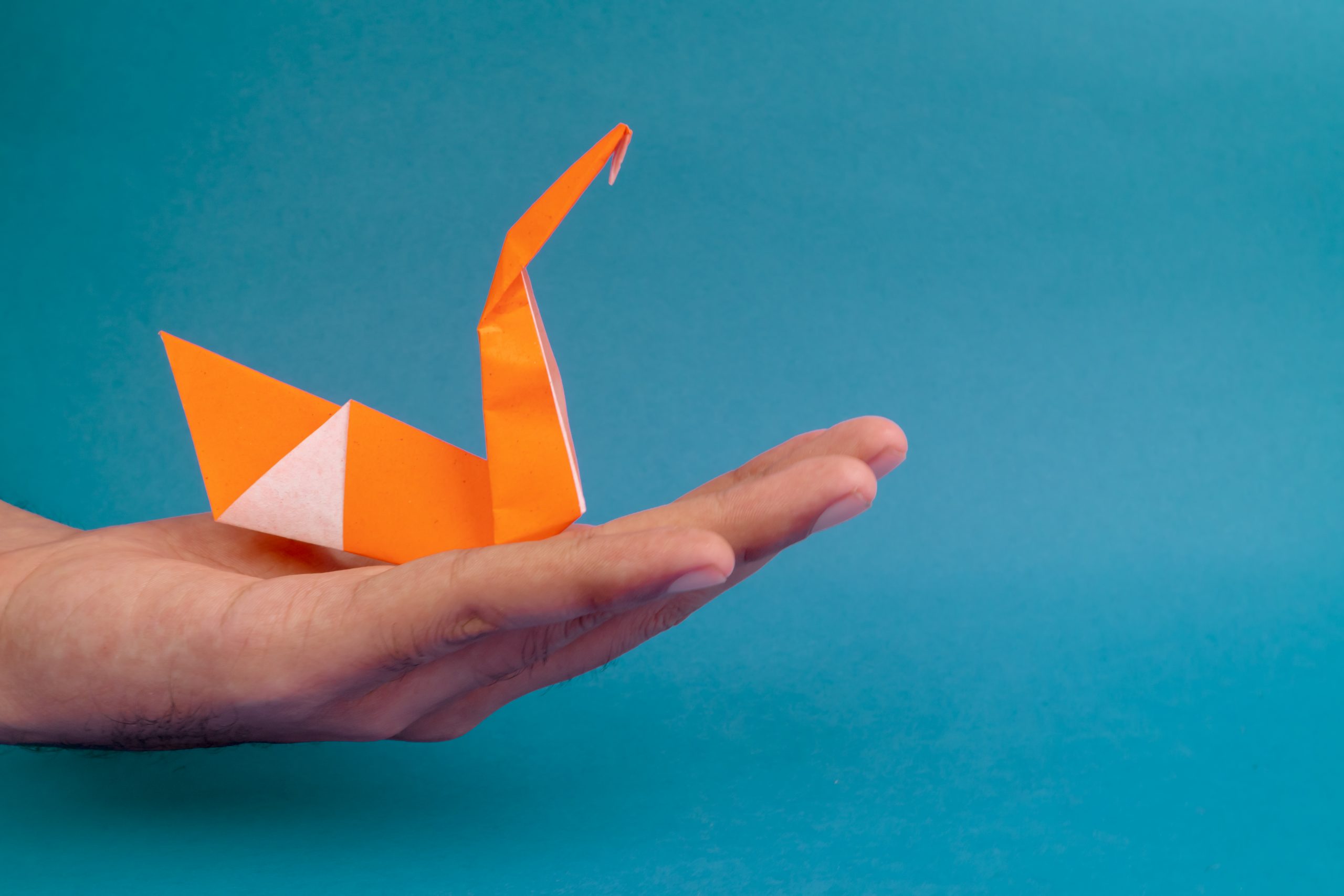 Swan origami on hand