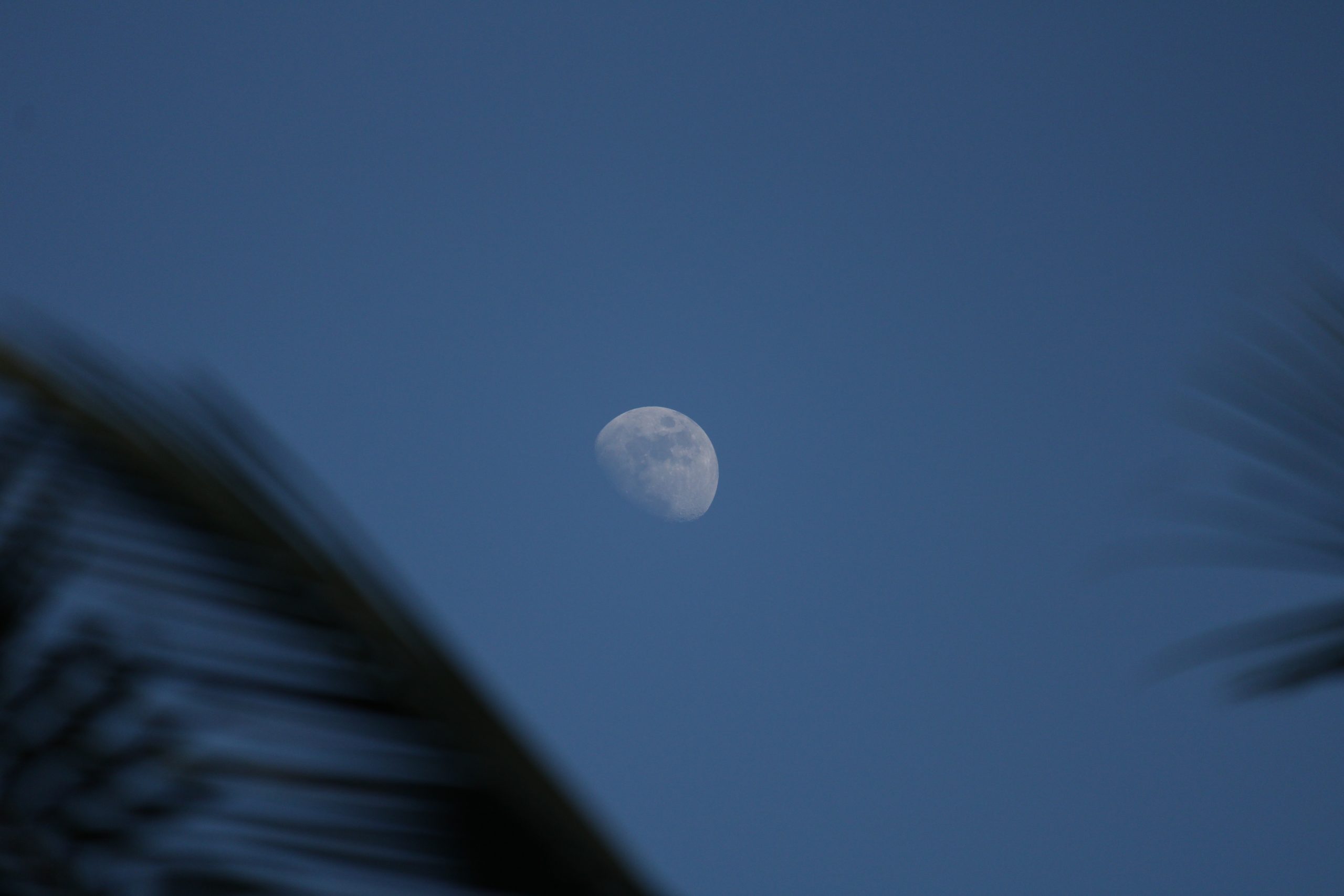 Blue Moon Sky