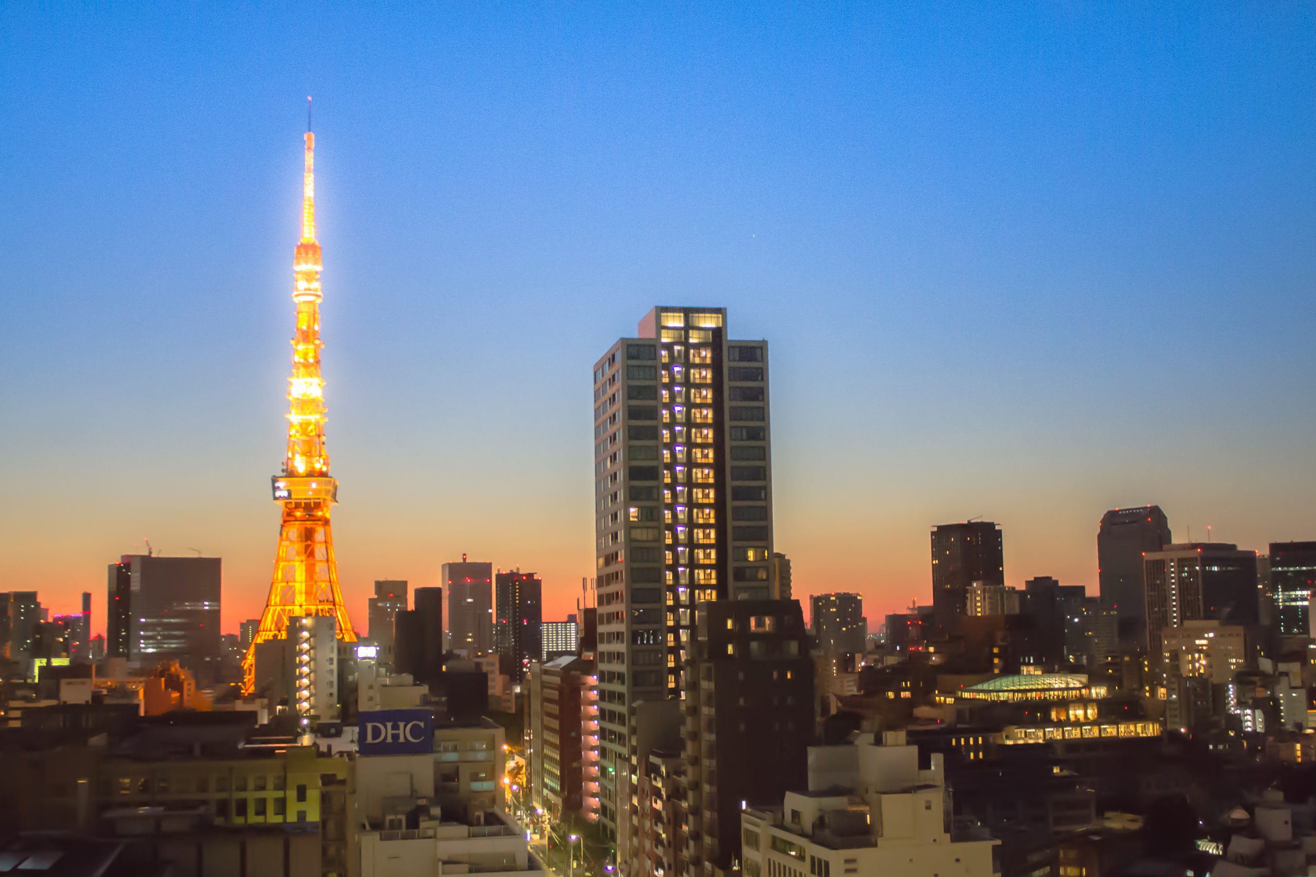 Tokyo Skyline