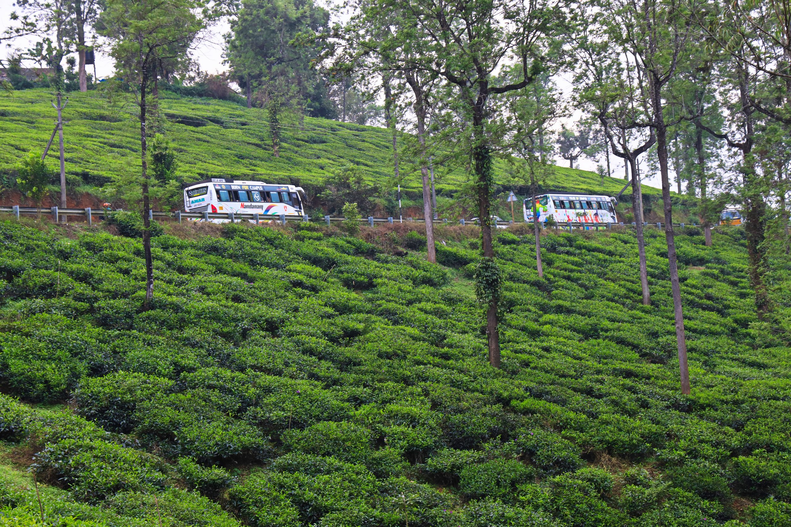 Tourist buses passing through a valley