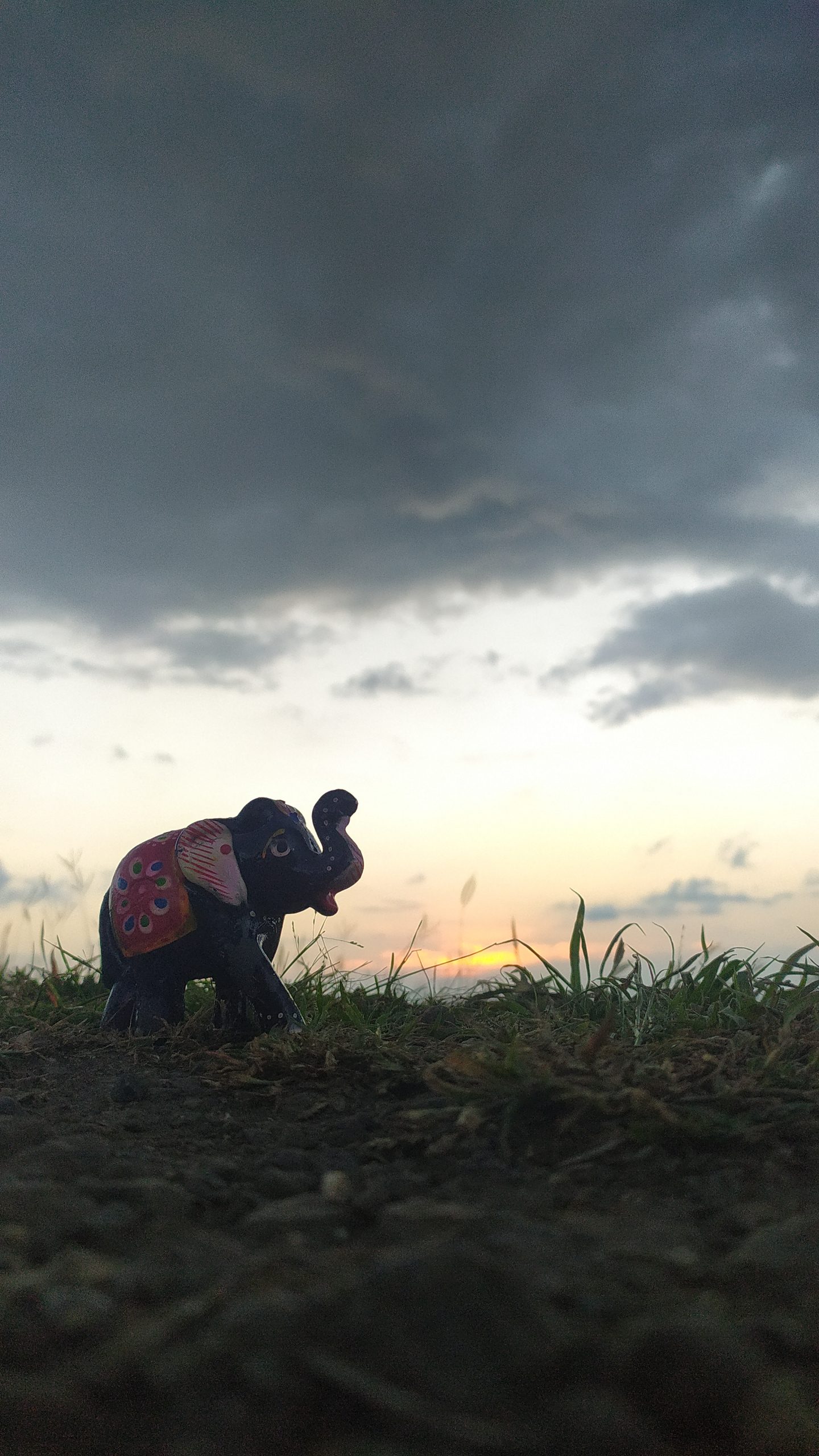 An elephant under a cloudy sunset.