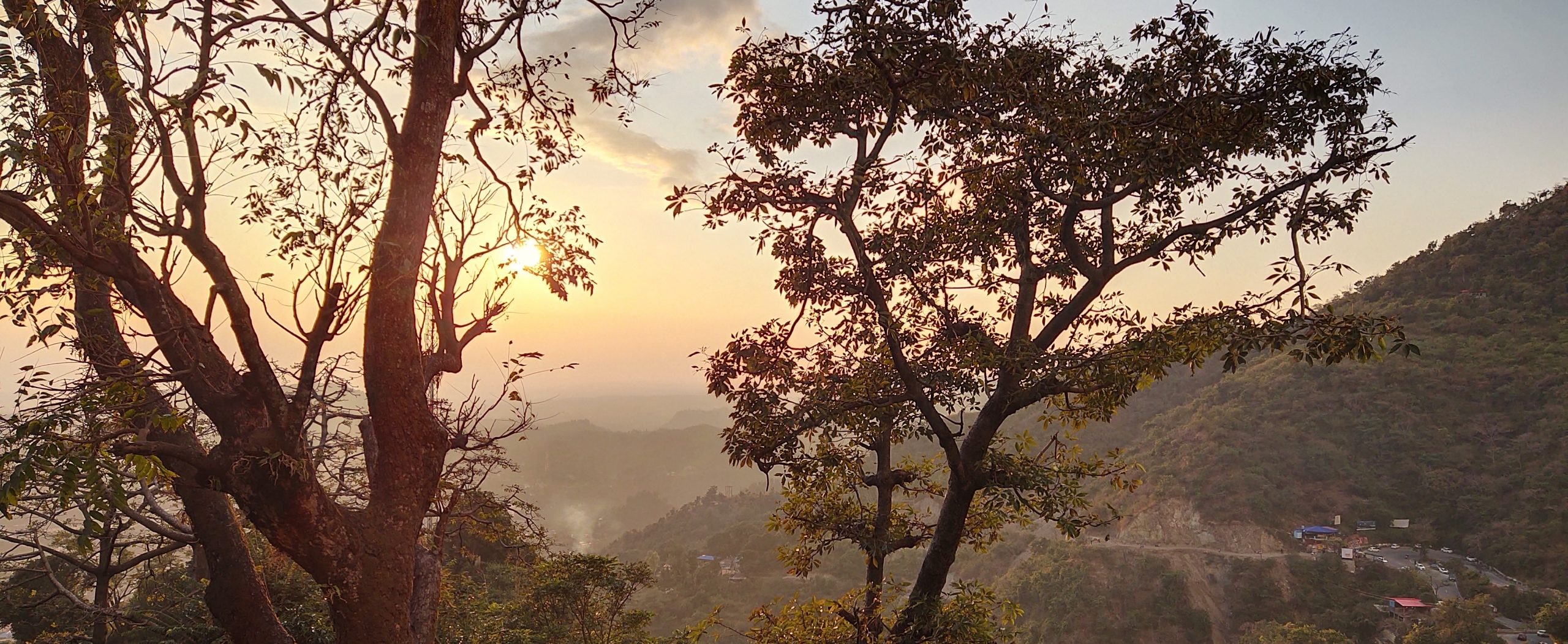 setting sun behind the trees