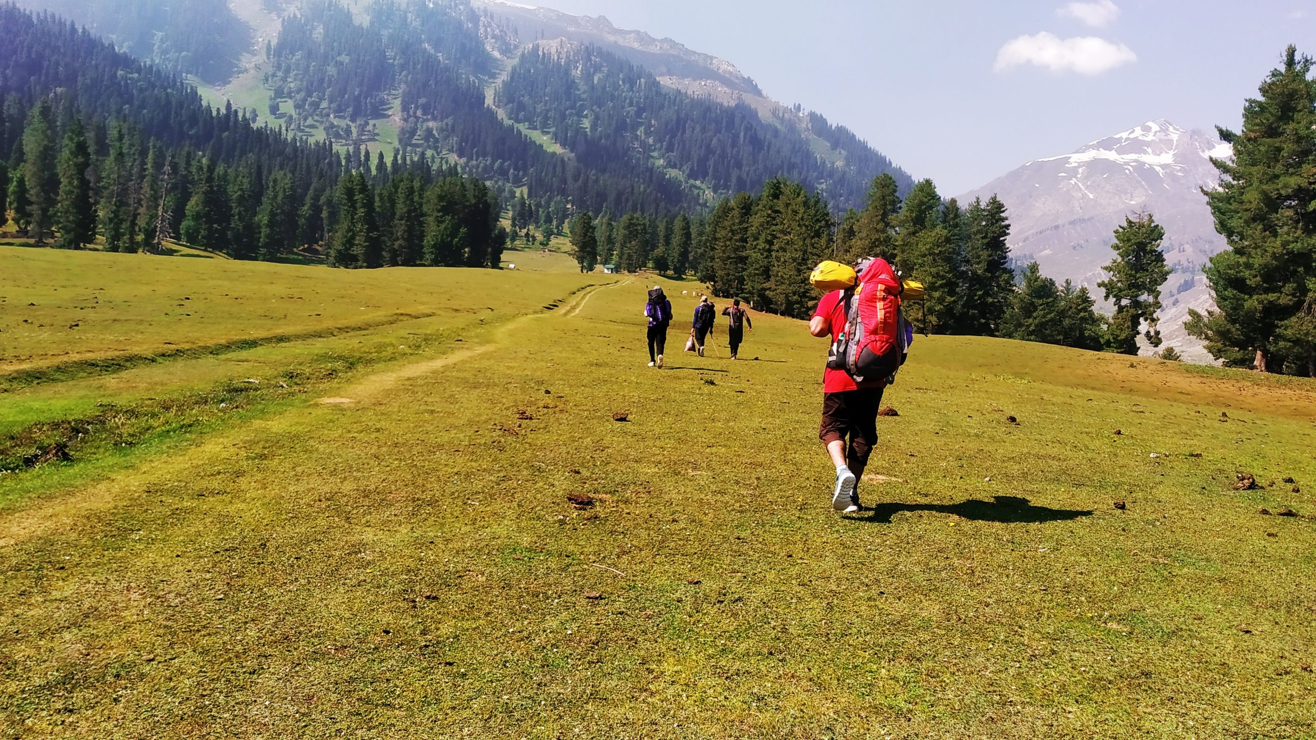 backpackers walking through a meadow