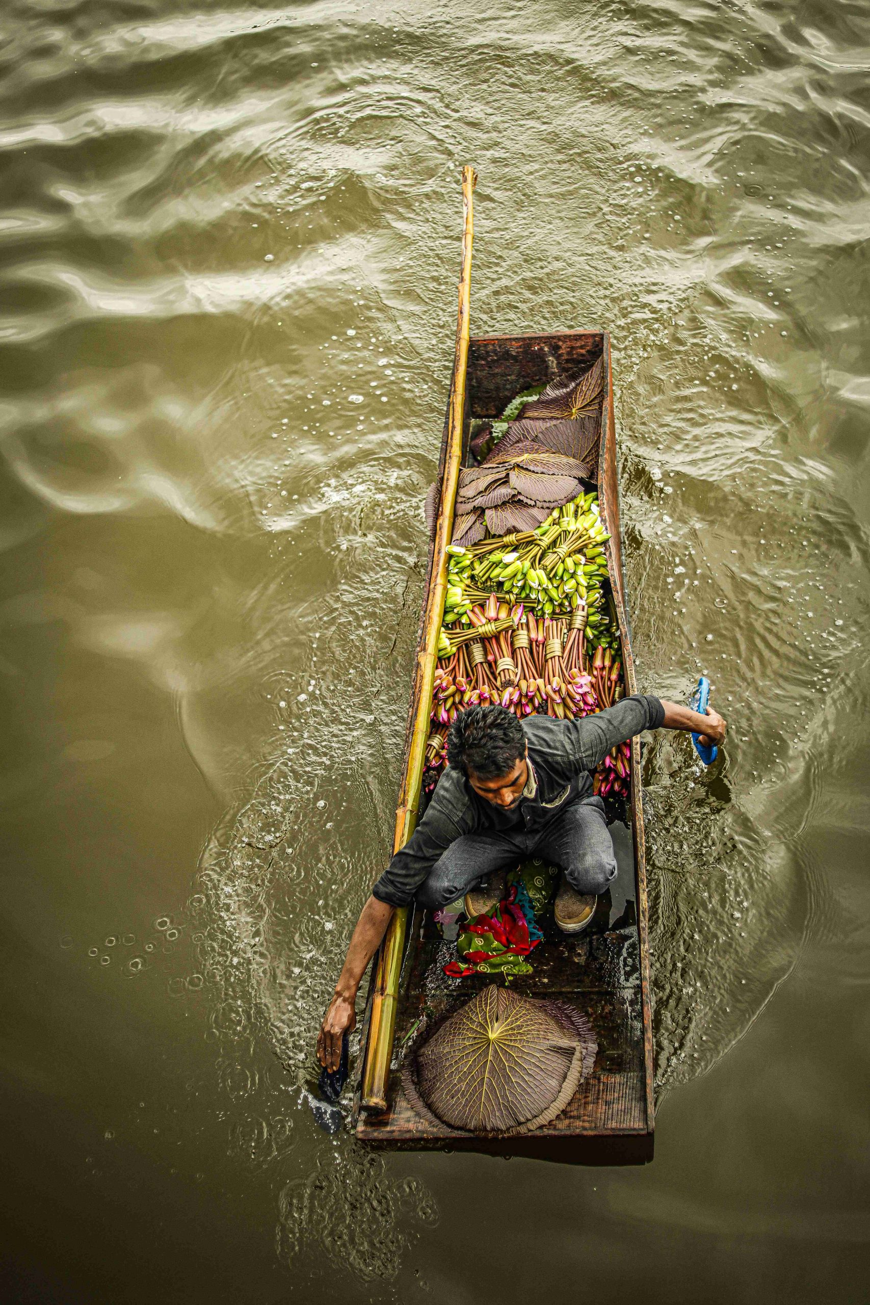 Vegetable Vendor