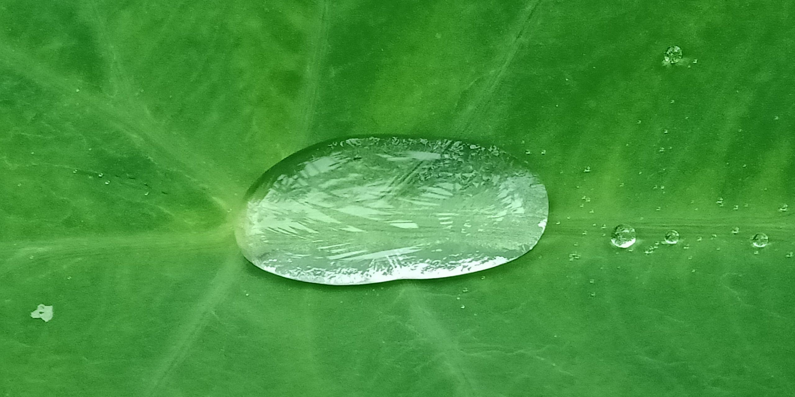Floating Water Drop