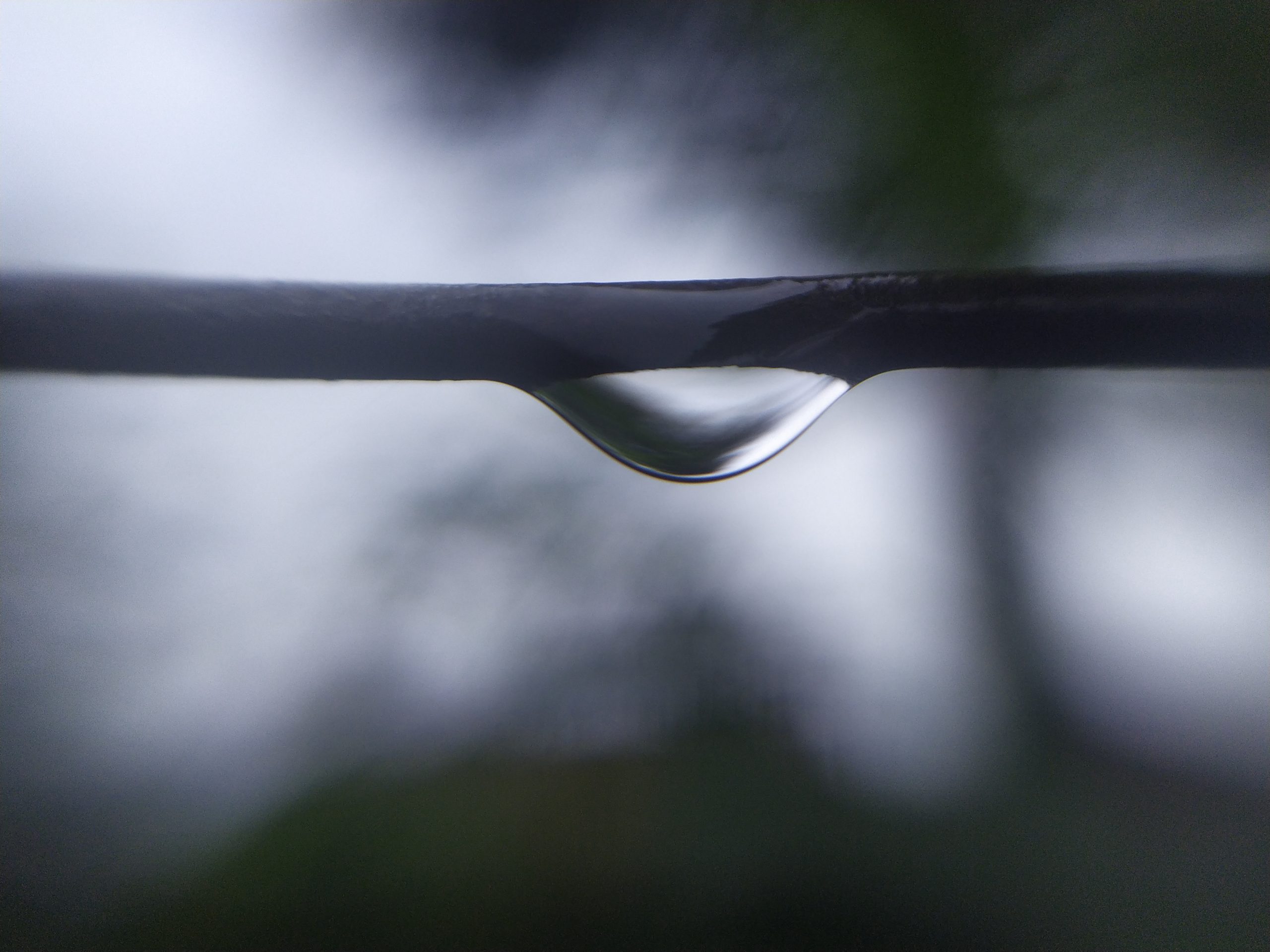 close-up of water drop