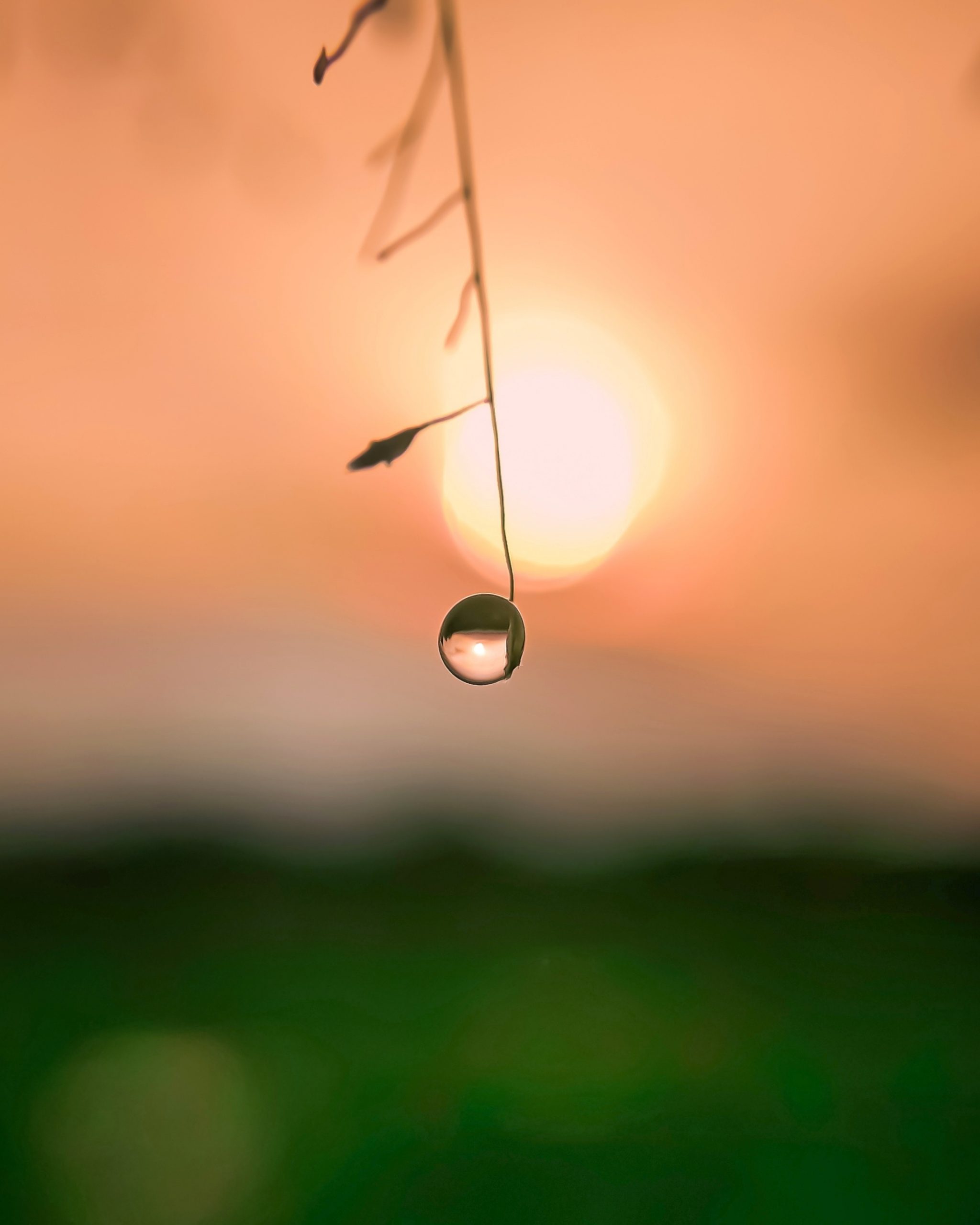 Water drop on a straw