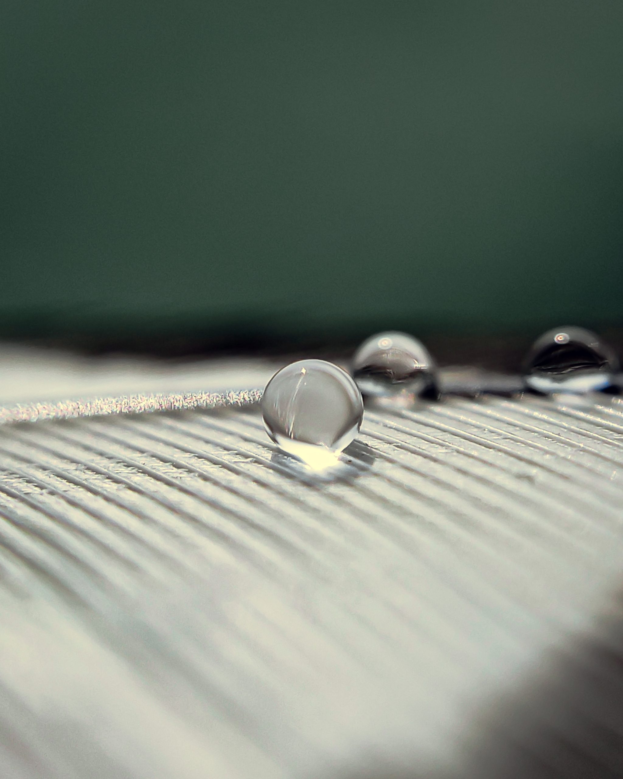 Water droplet on focus