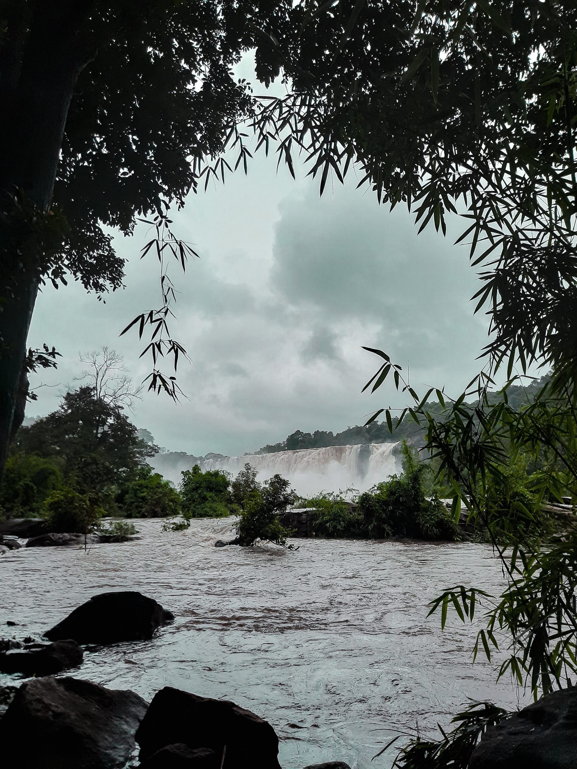 Waterfall Sorrounded by Trees