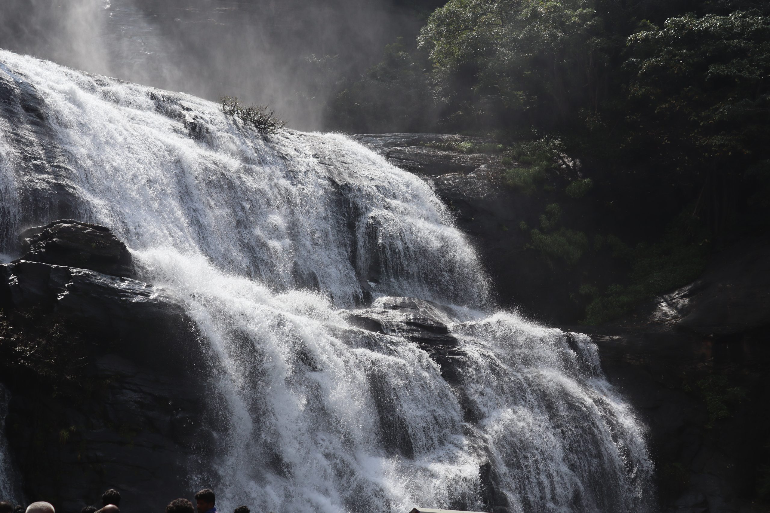 Waterfall in a jungle