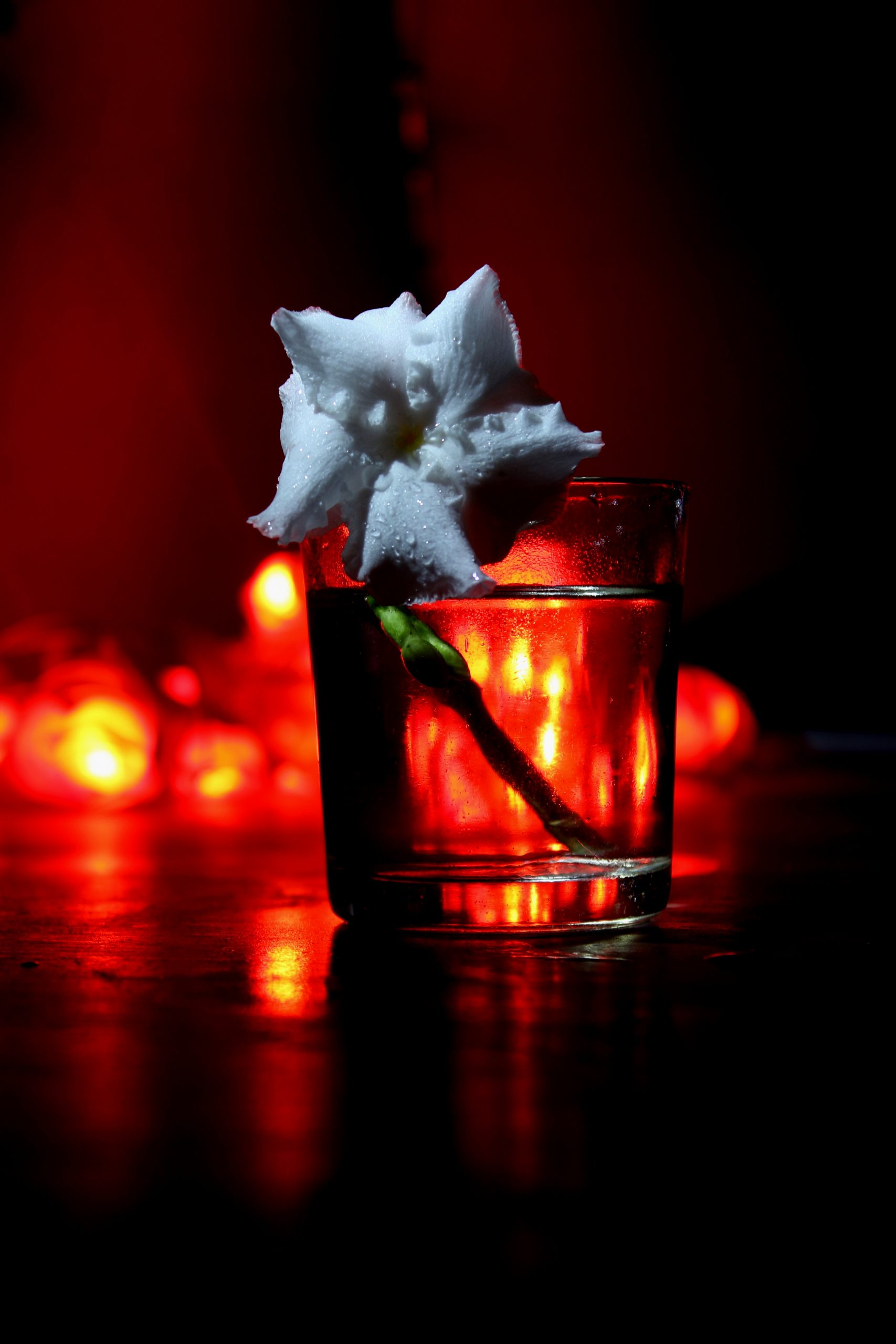 White Flower on a Glass