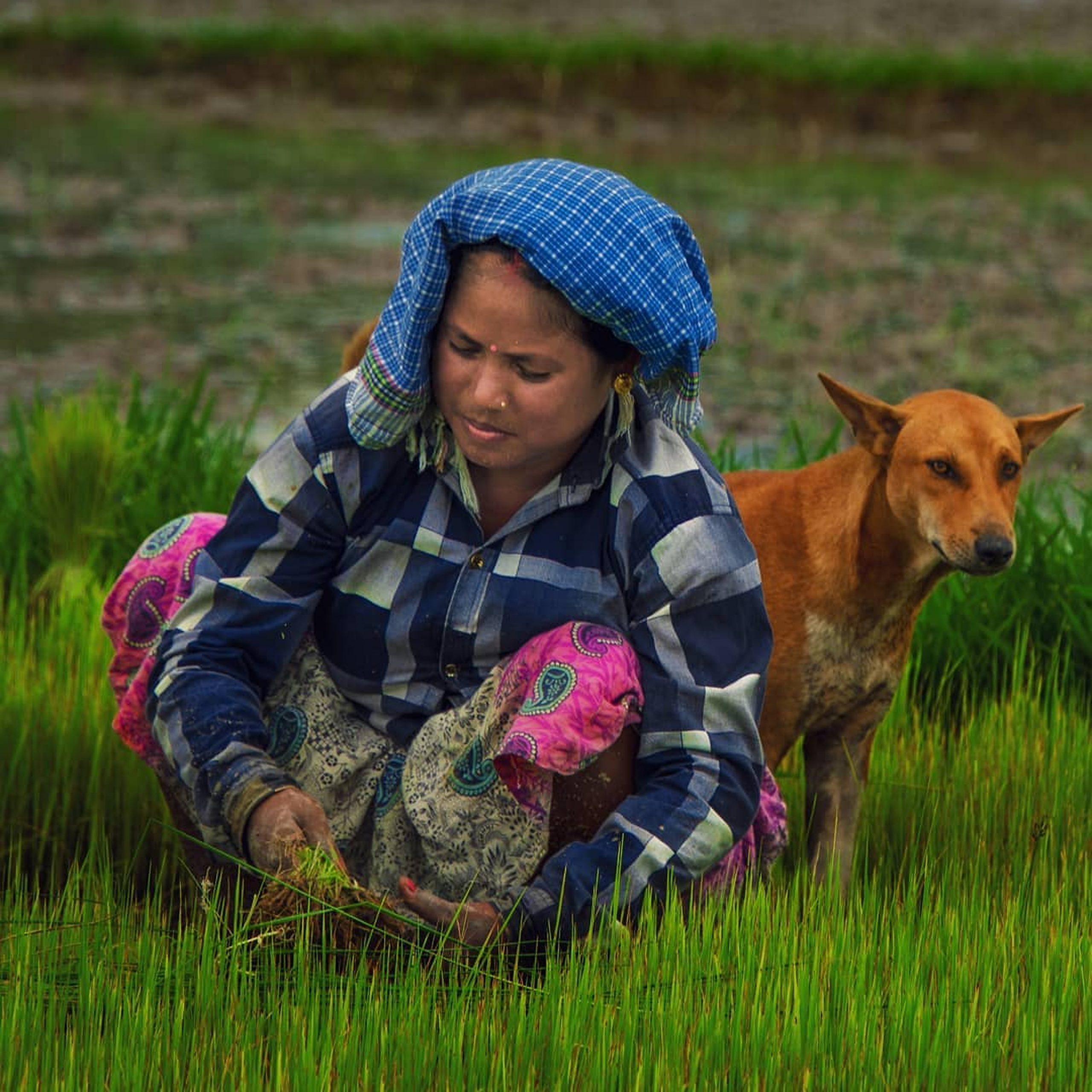 Woman working in field