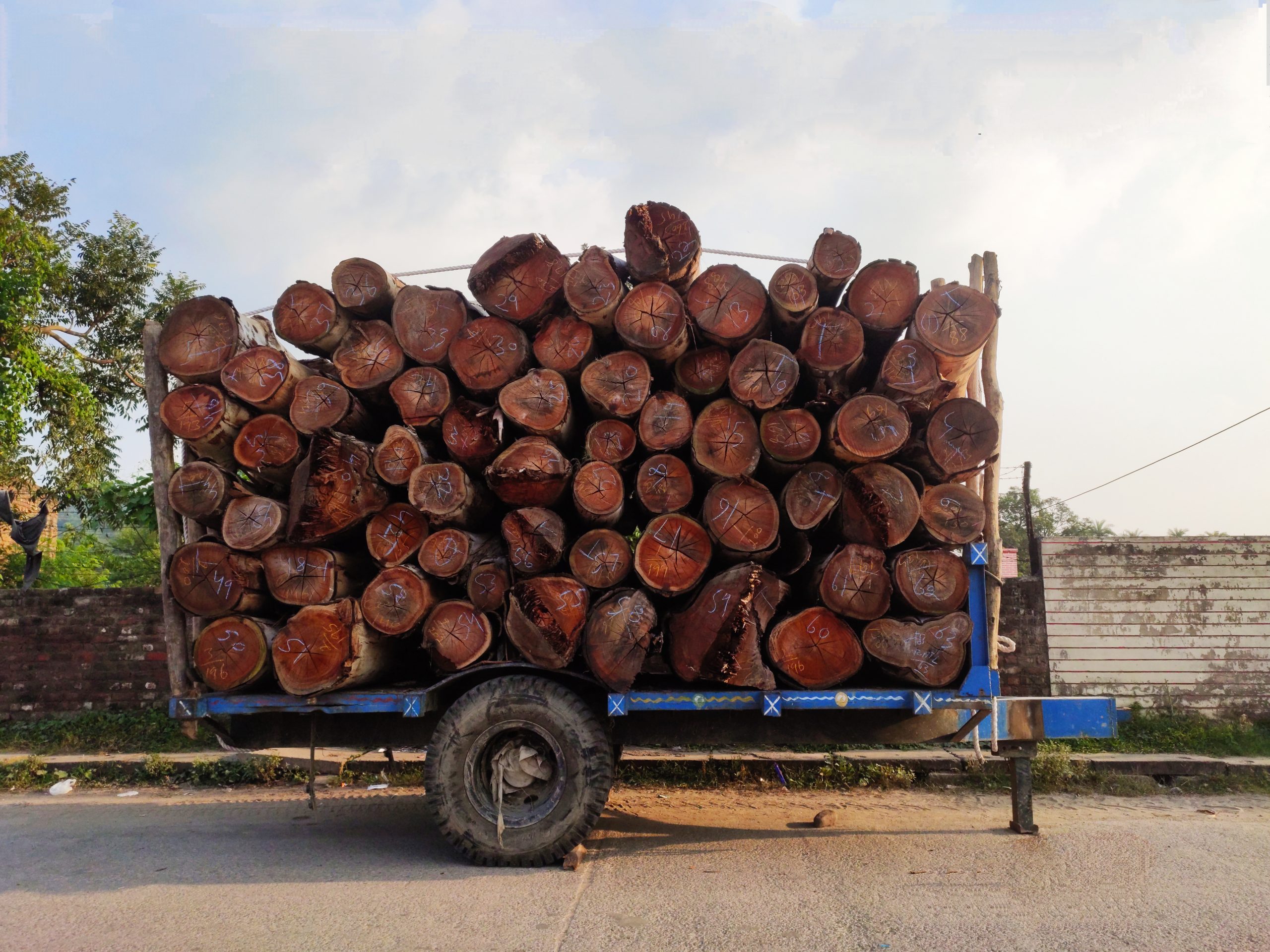 Wood logs in a trolley