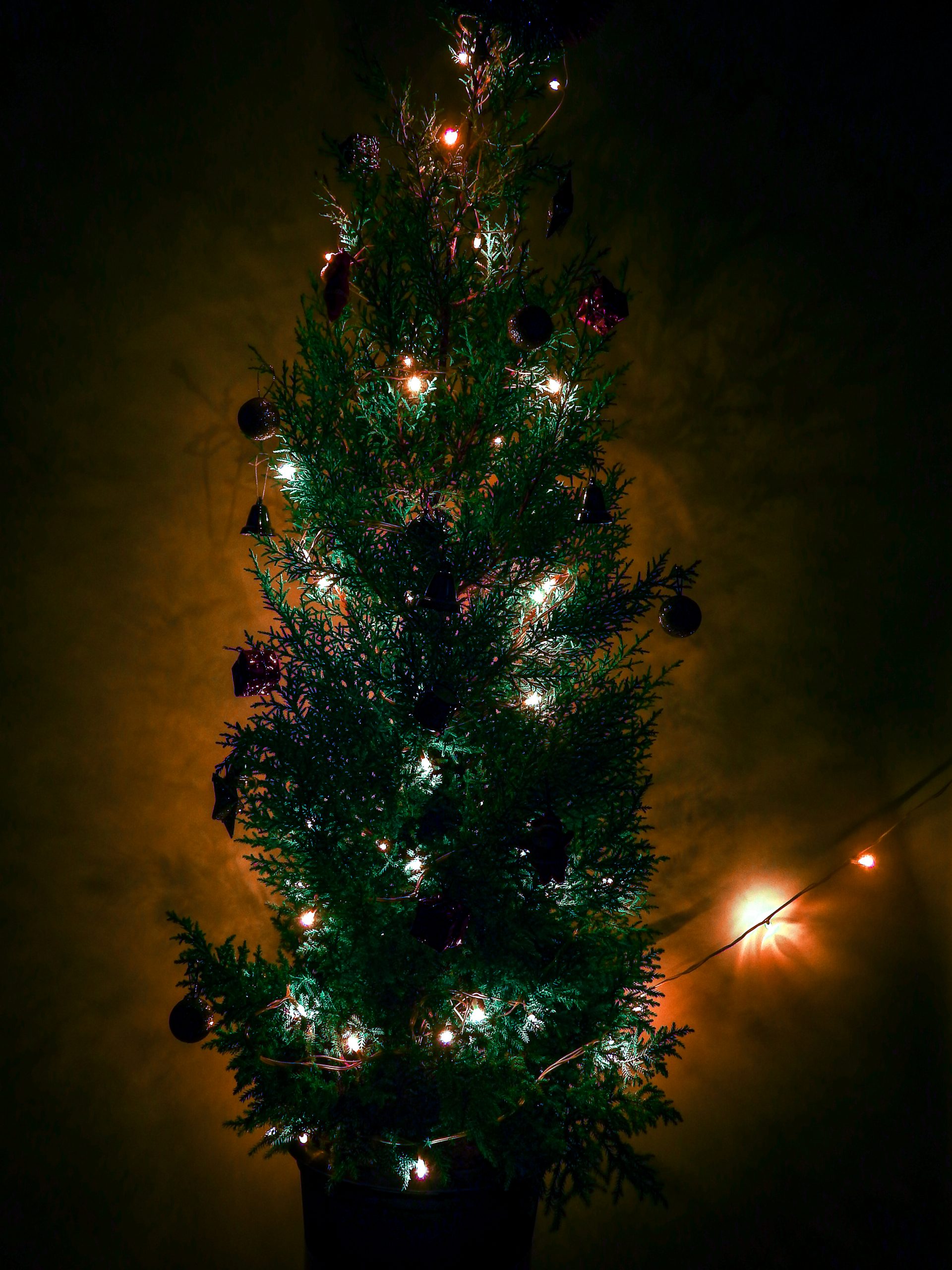 A Christmas tree