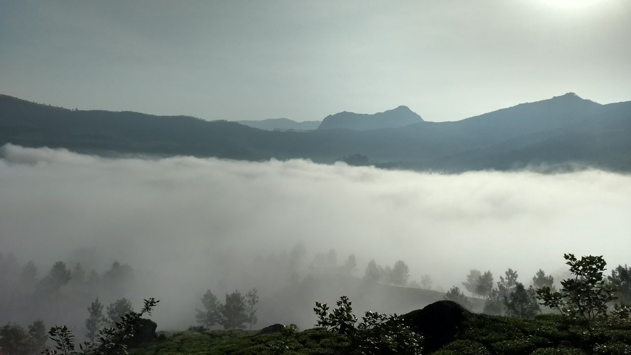 mountain fog