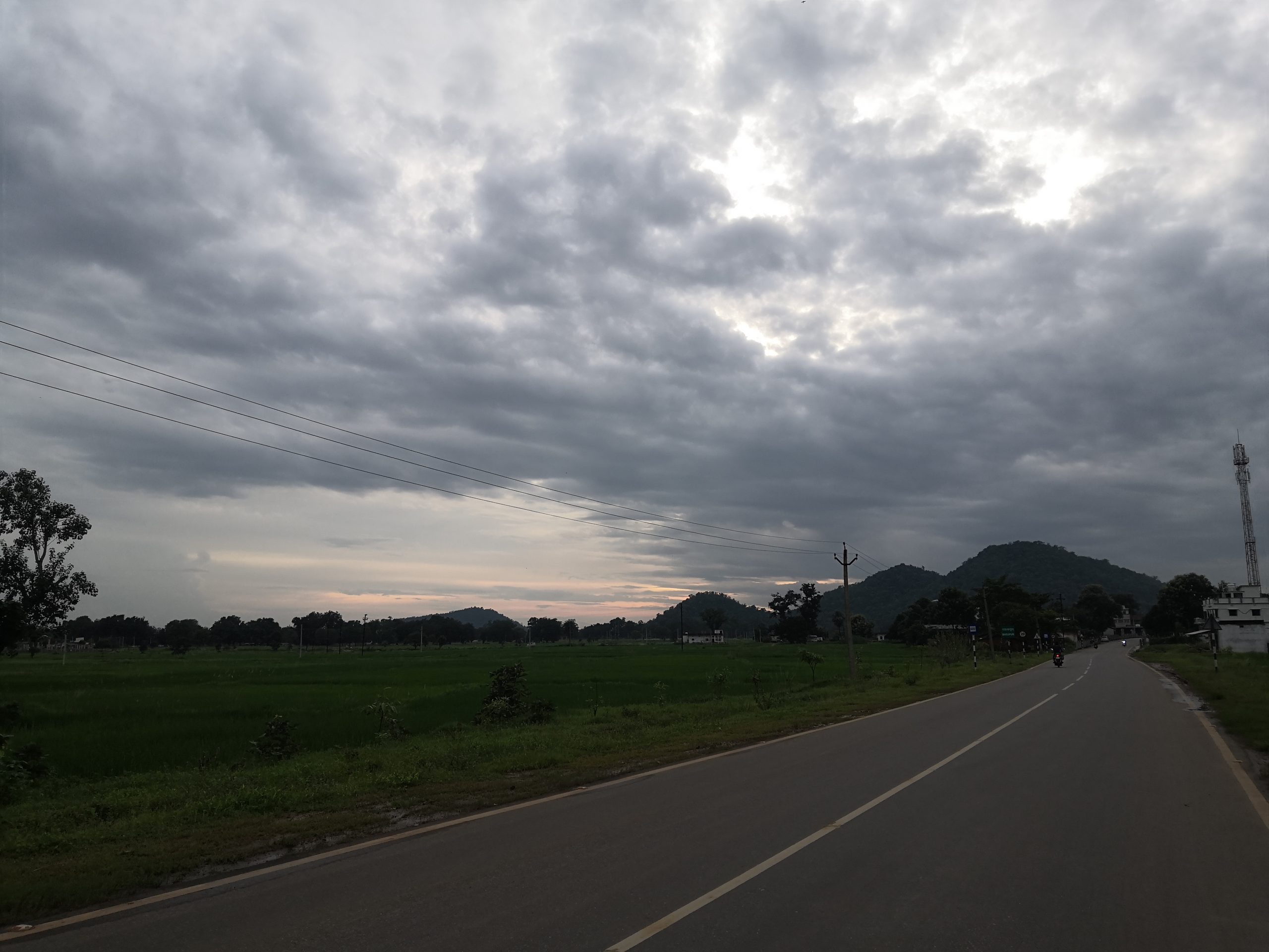 road in a greenery side