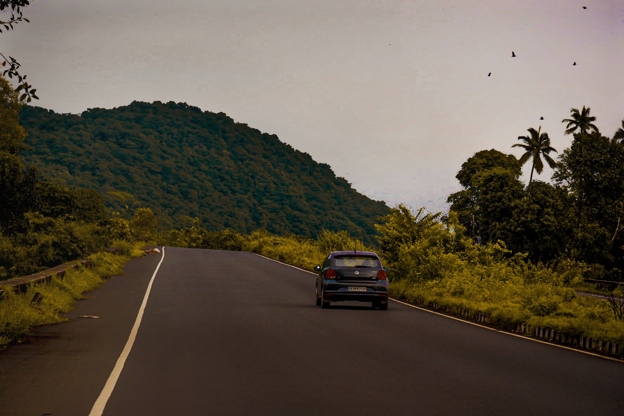 car on a hilly road