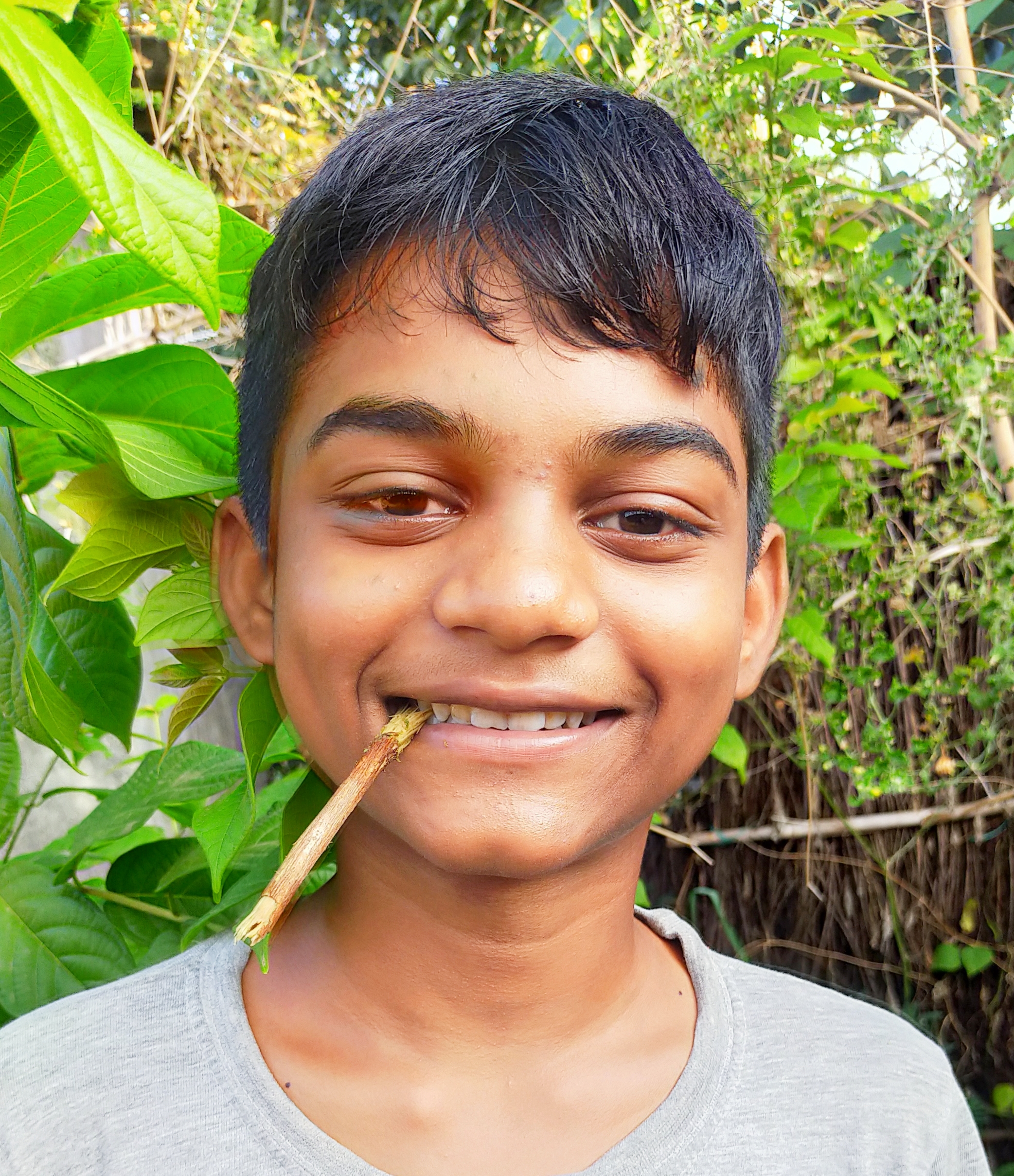 A boy with natural herbal toothbrush