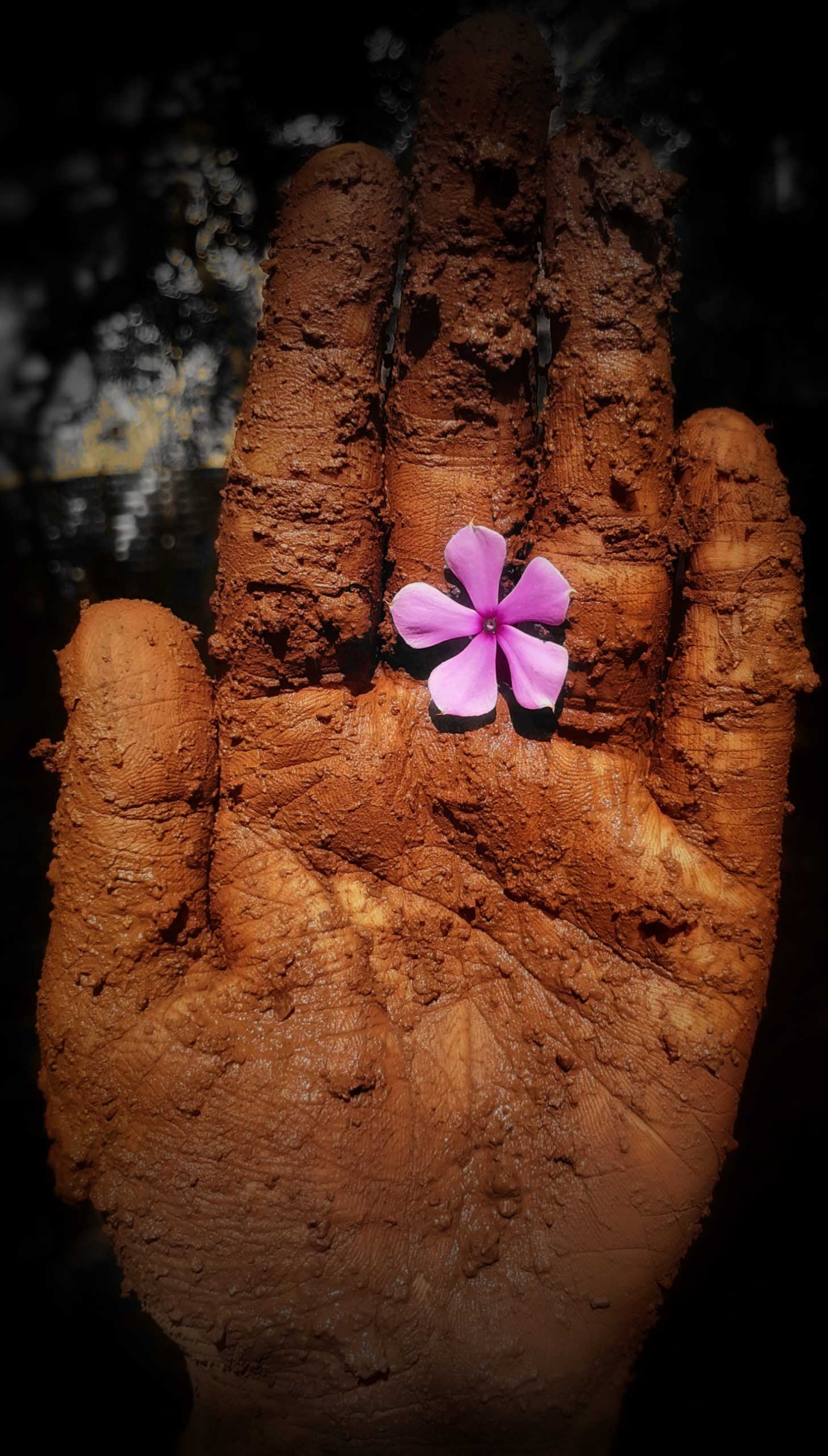 A flower on a muddy hand