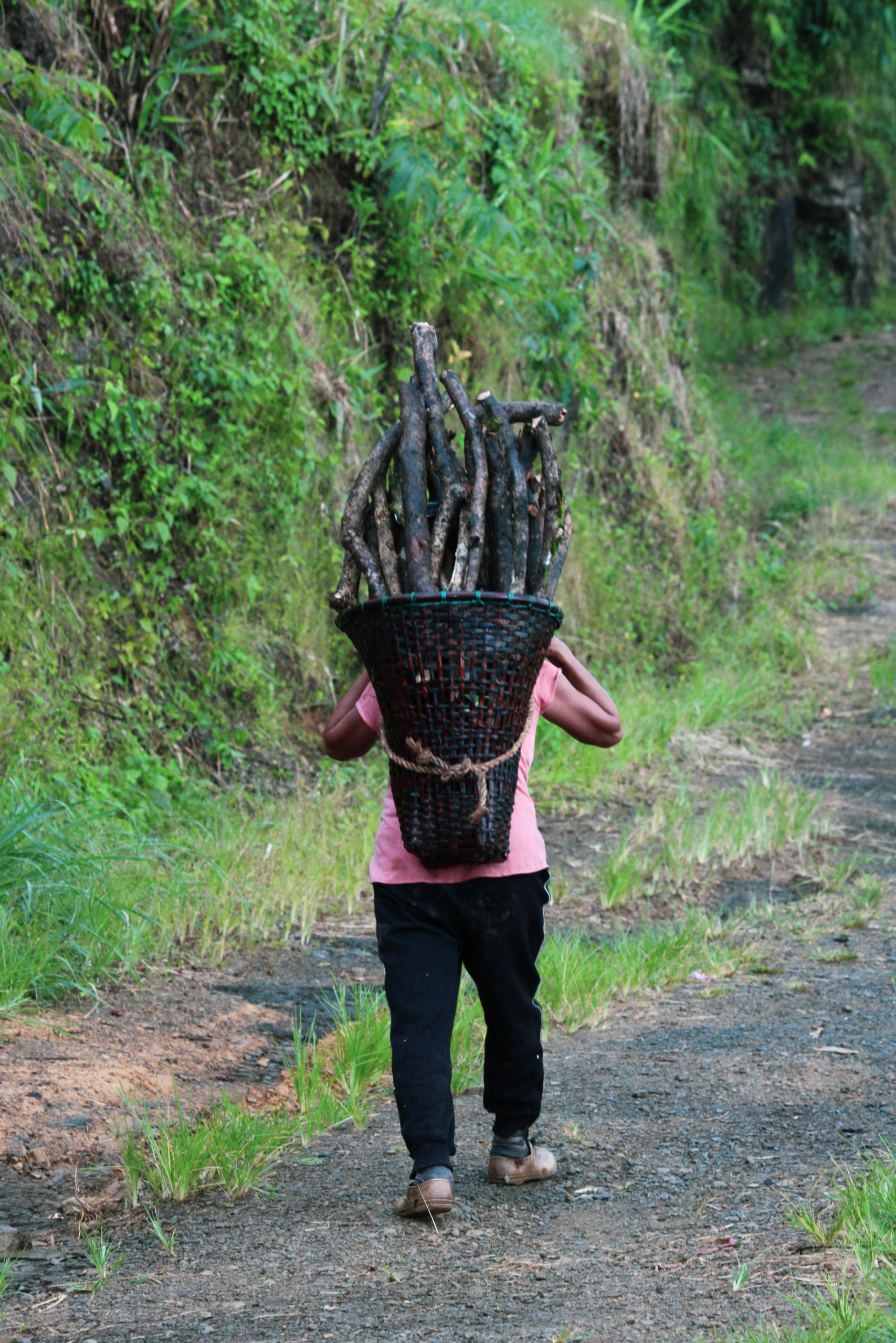 A lady carrying bamboo basket