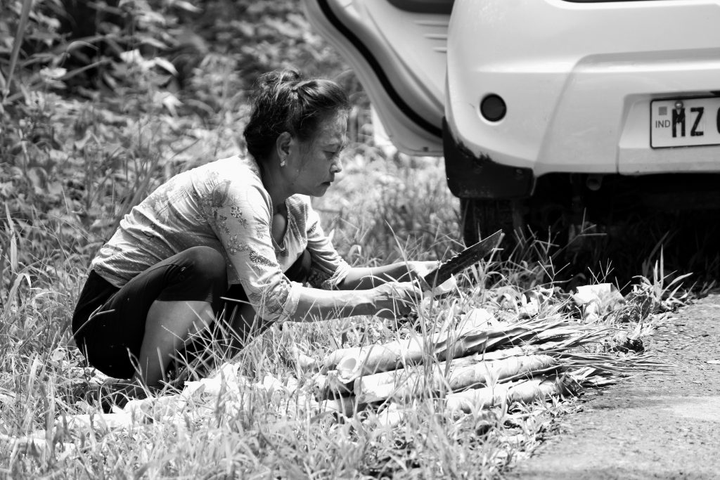 A lady cutting bamboo sticks PixaHive