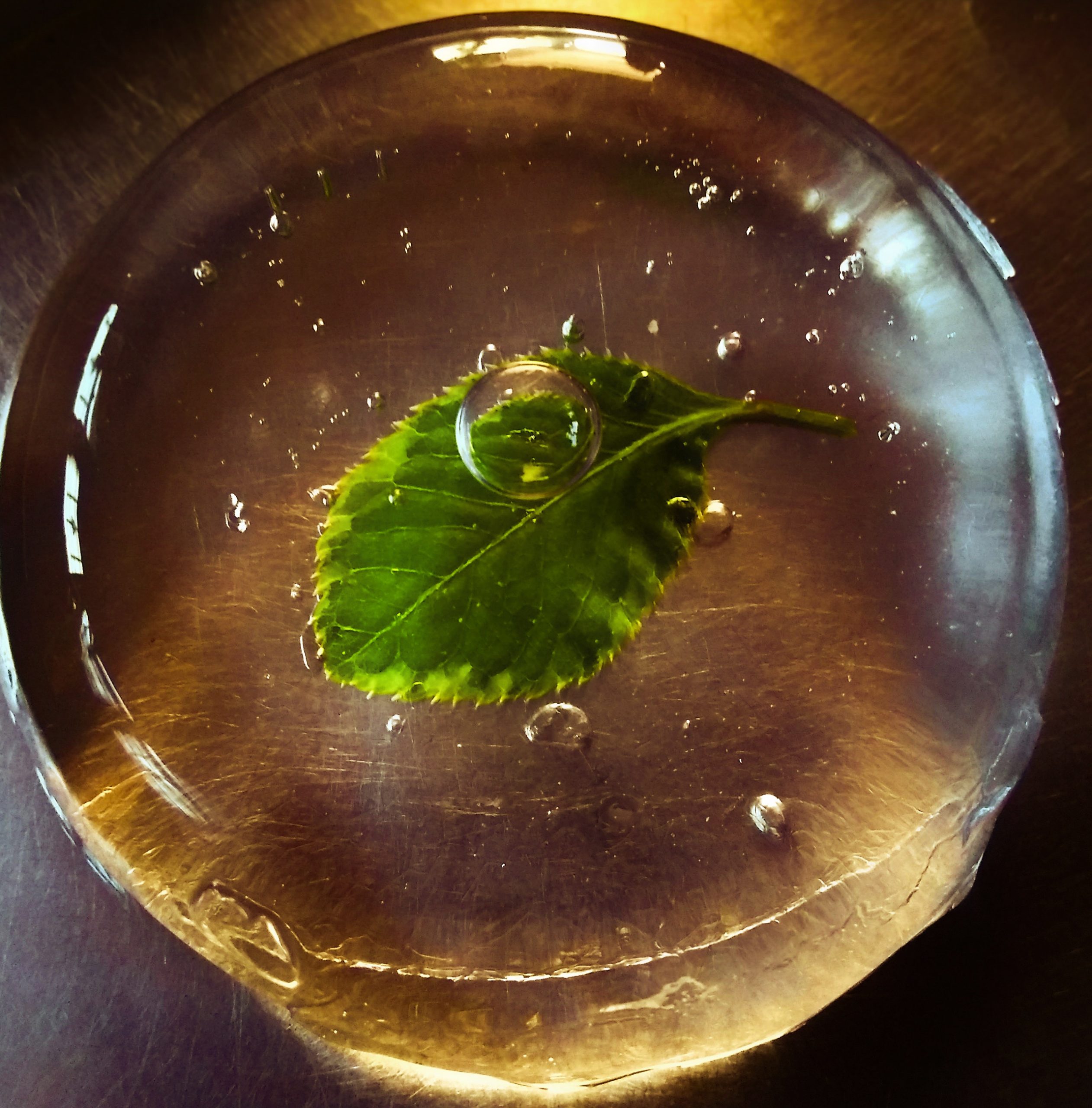 A leaf in water