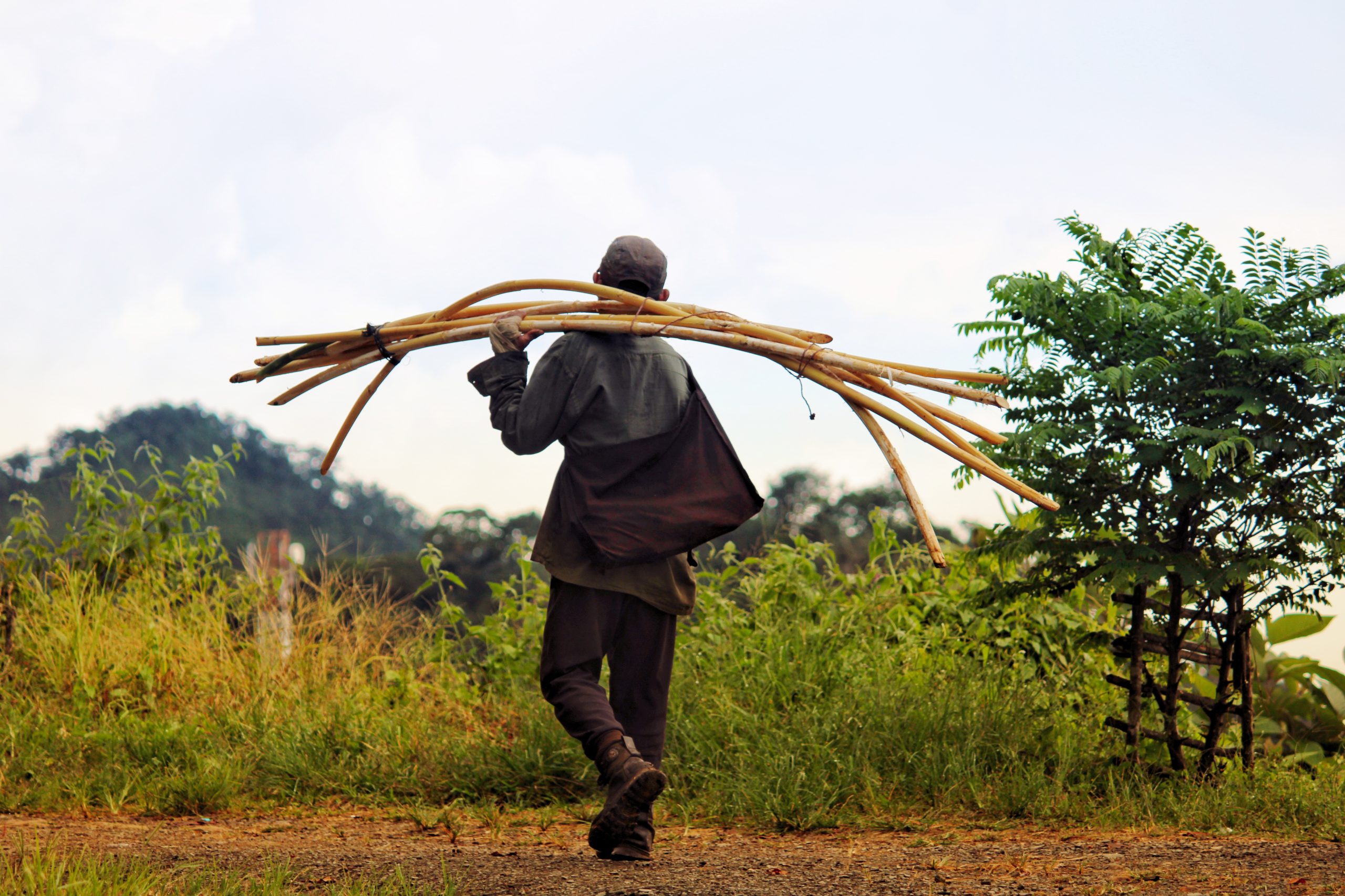 A man carrying sticks on shoulder