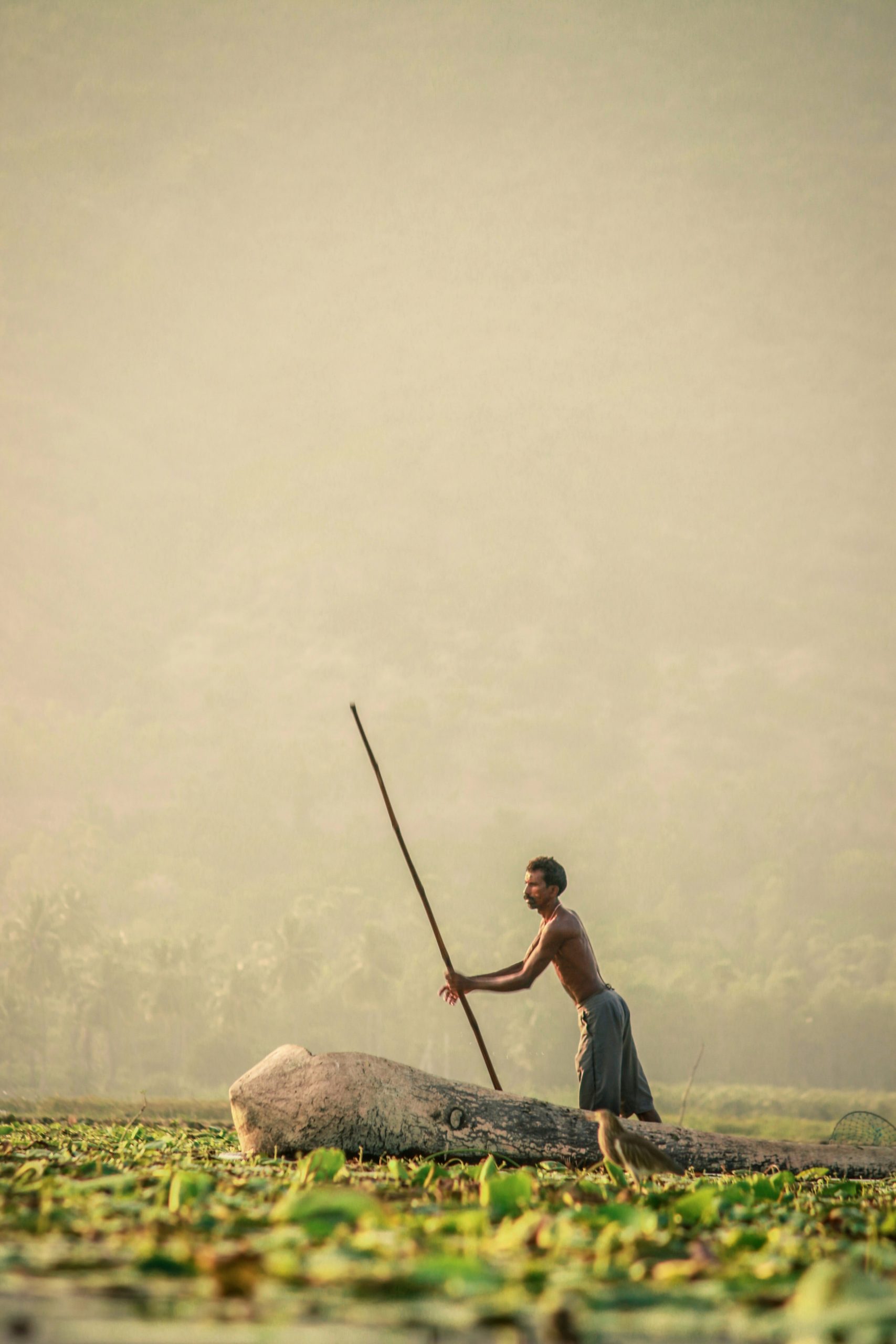 A man with boat in a pond