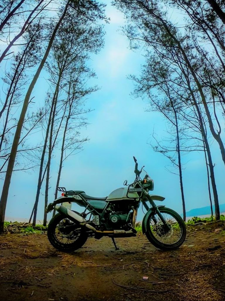 A sports bike in a jungle - PixaHive