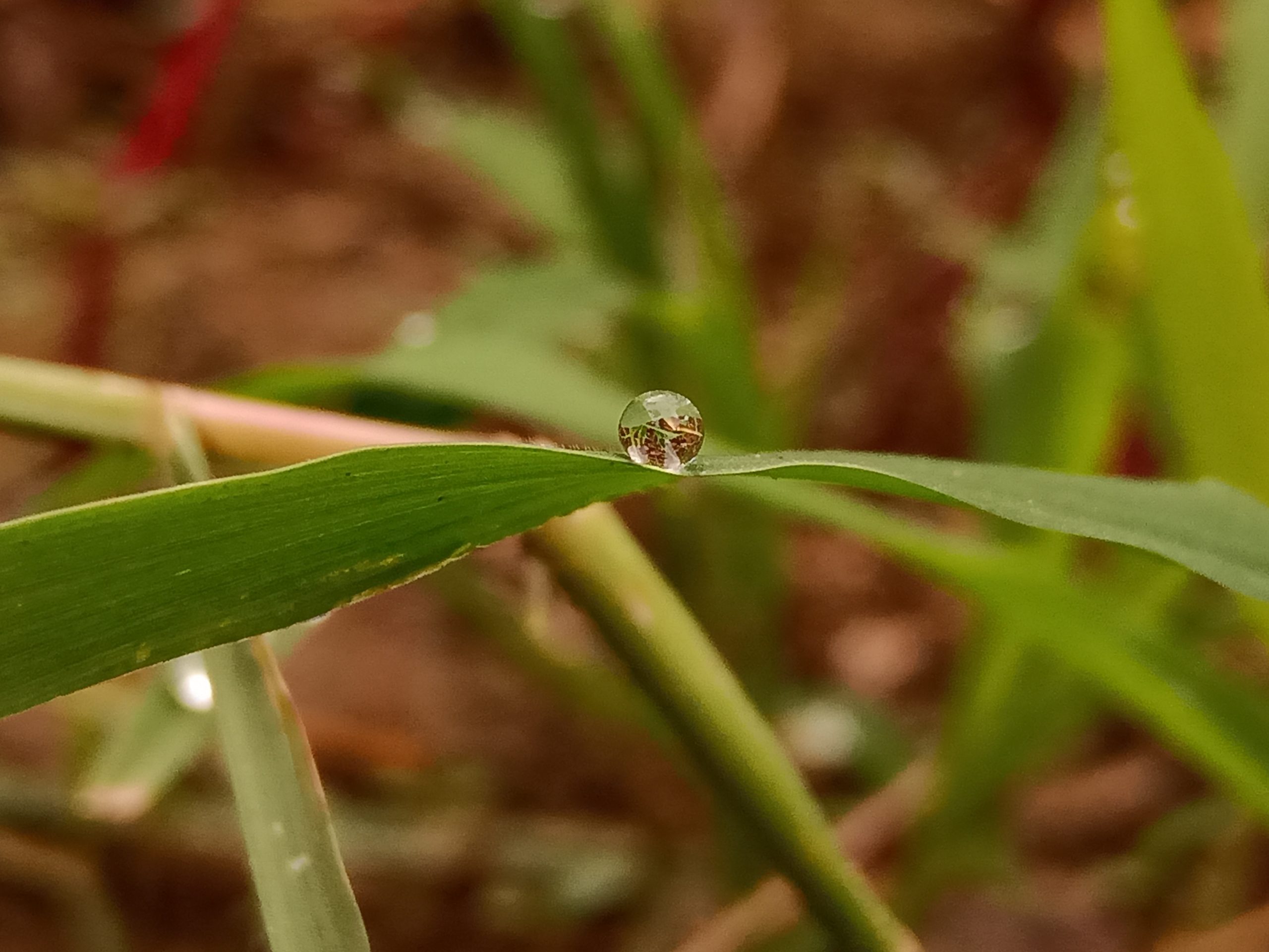 A waterdrop on leaf