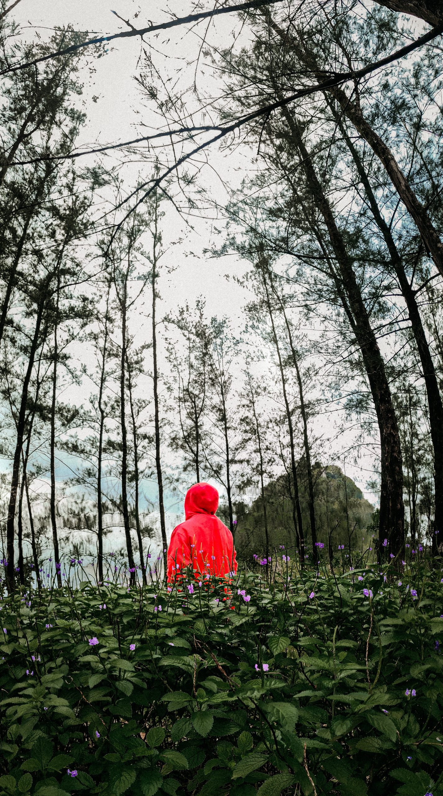 Lone guy in wilderness.