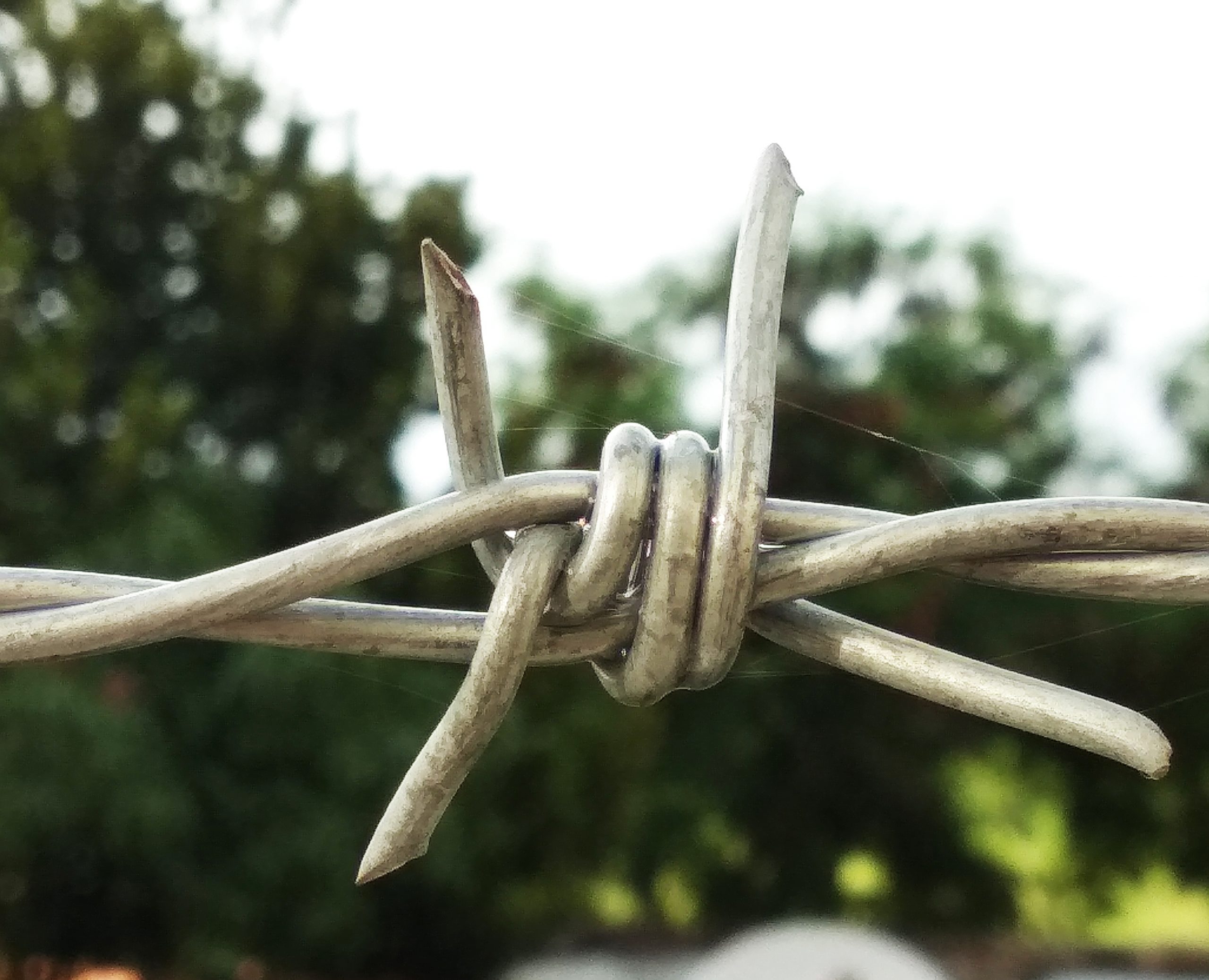 locks of a barbed wire