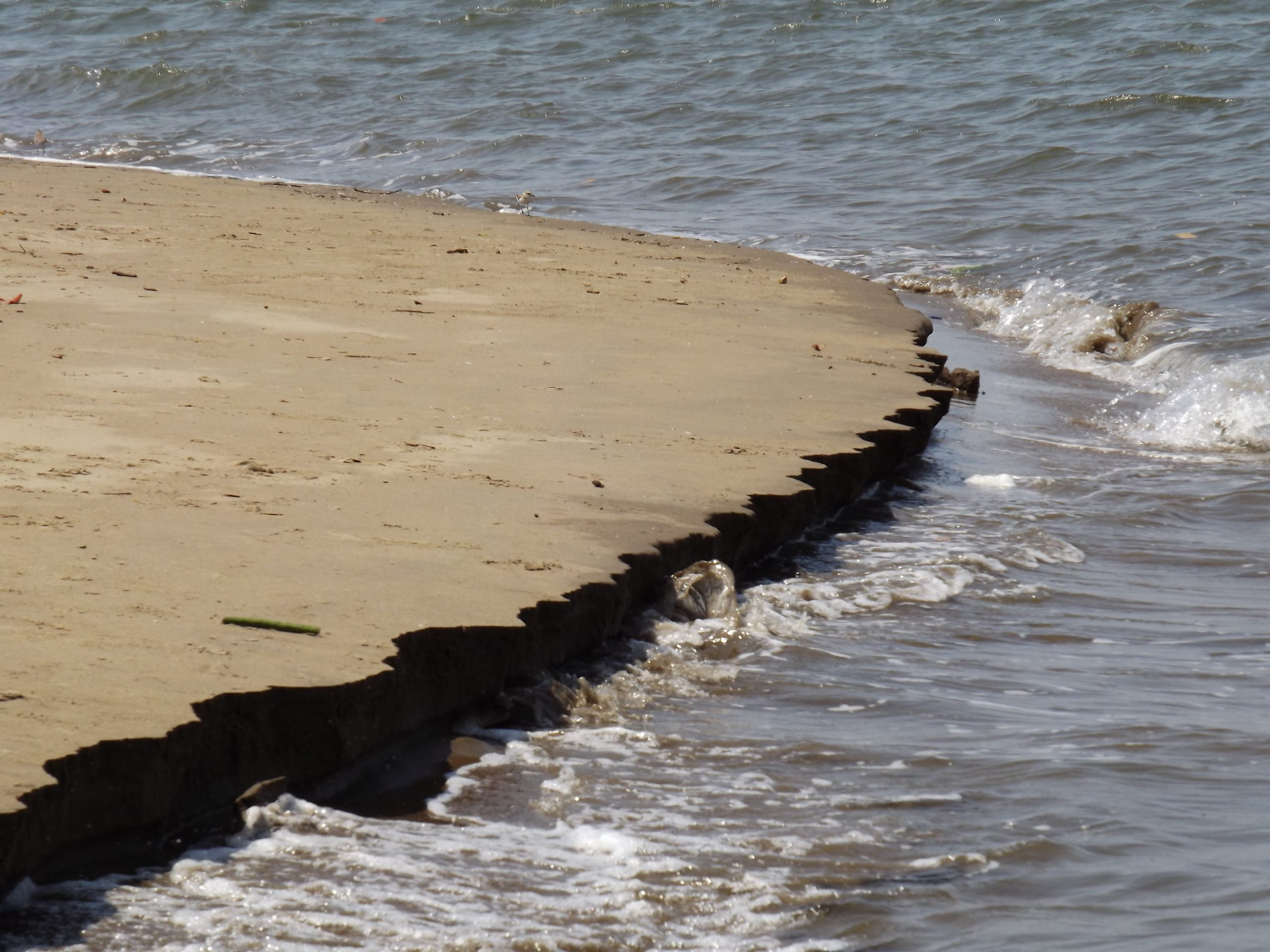 Beach erosion in Goa