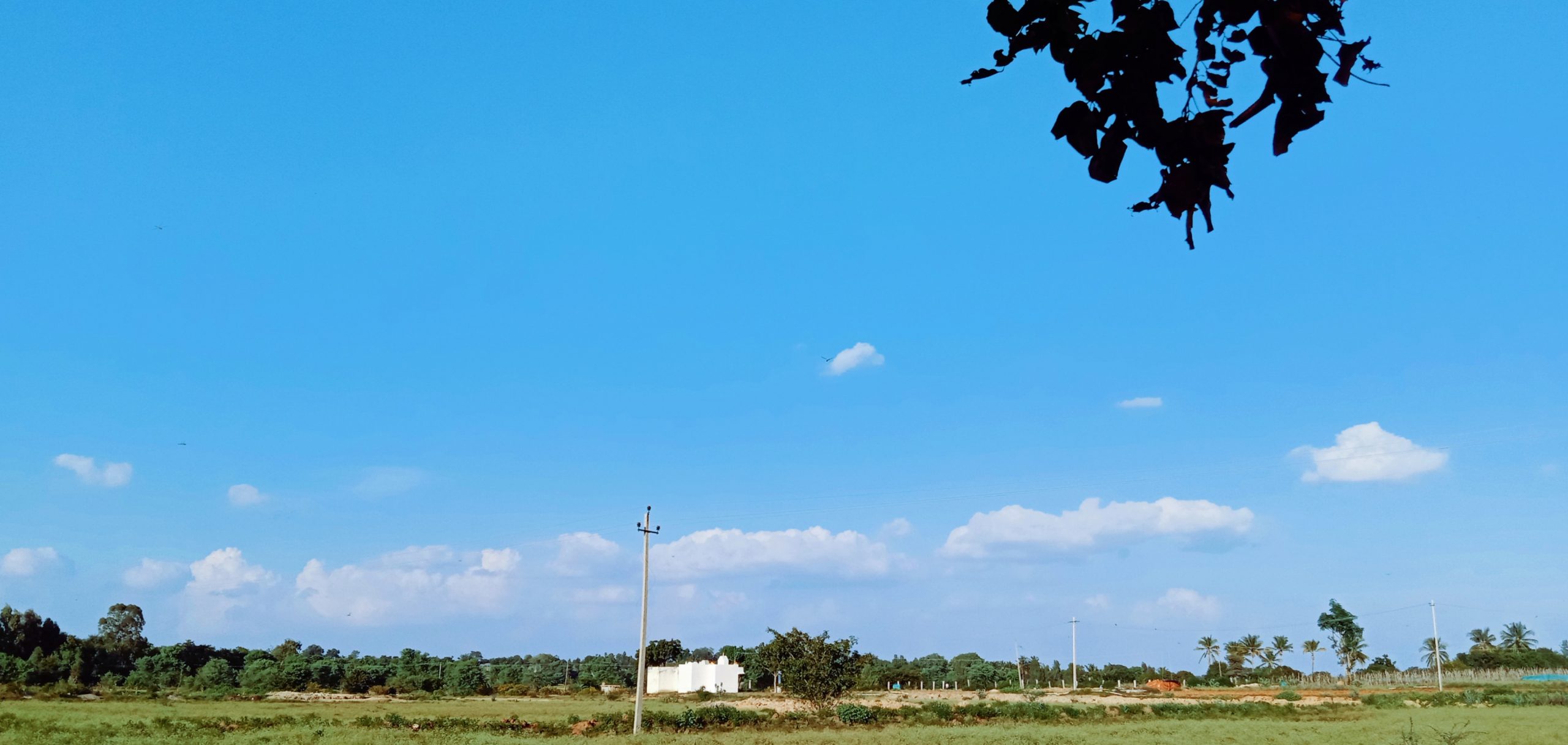 Beautiful Green Landscape