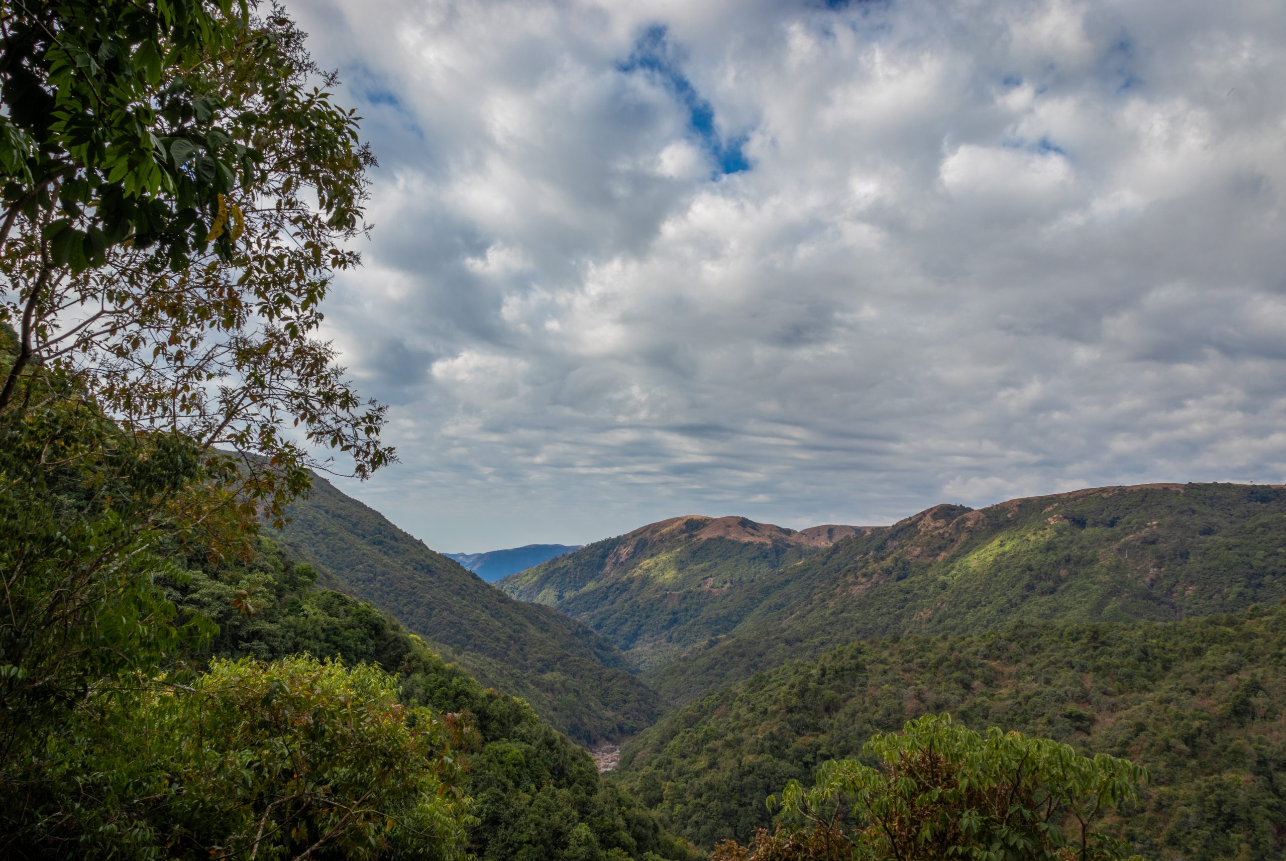 Nature Landscape